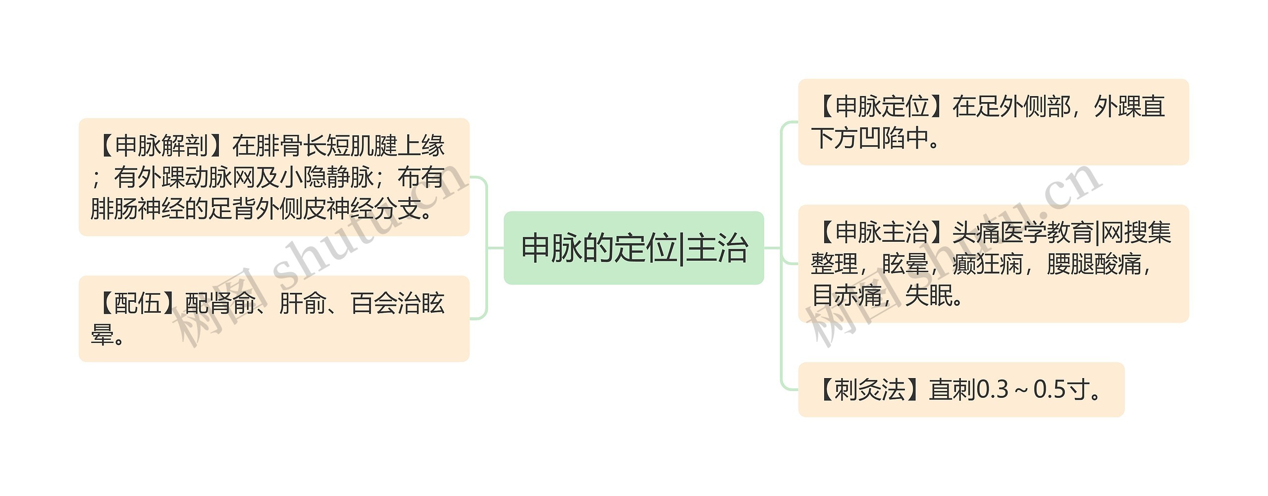 申脉的定位|主治