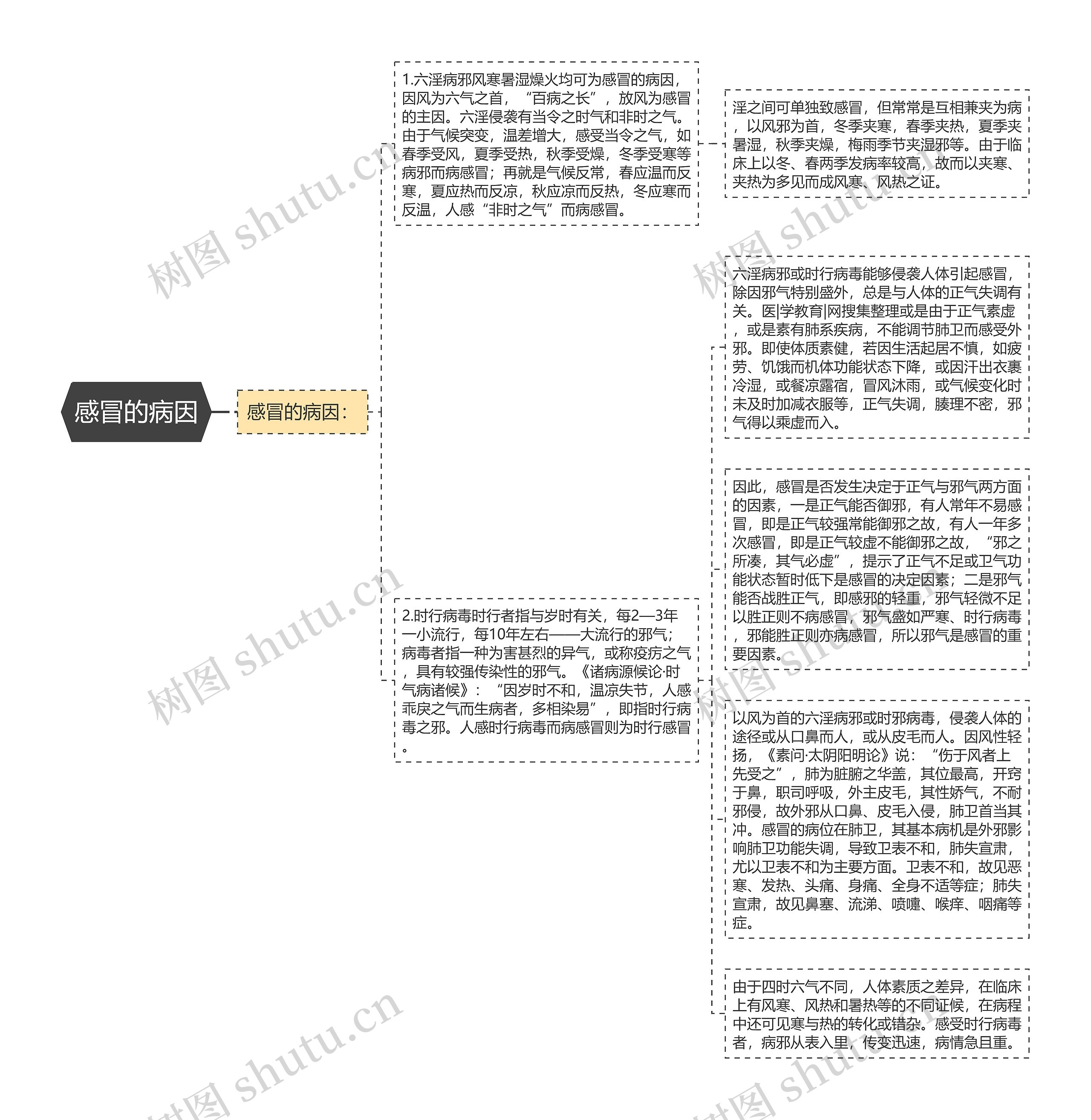 感冒的病因思维导图