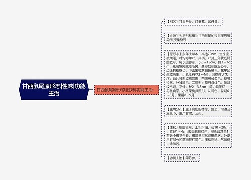 甘西鼠尾原形态|性味|功能主治