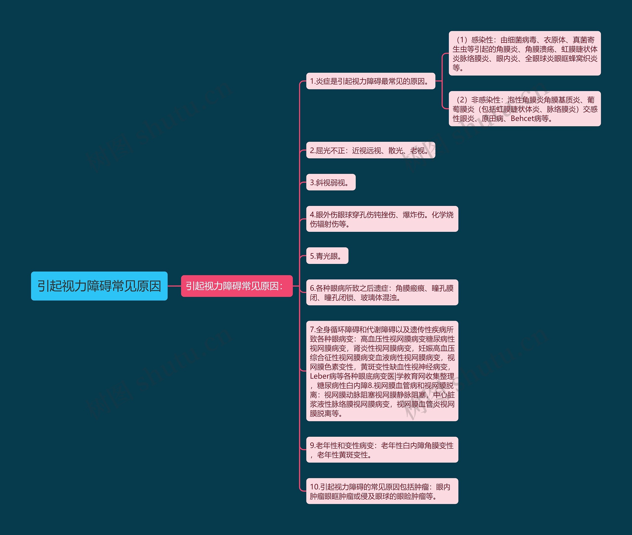 引起视力障碍常见原因思维导图