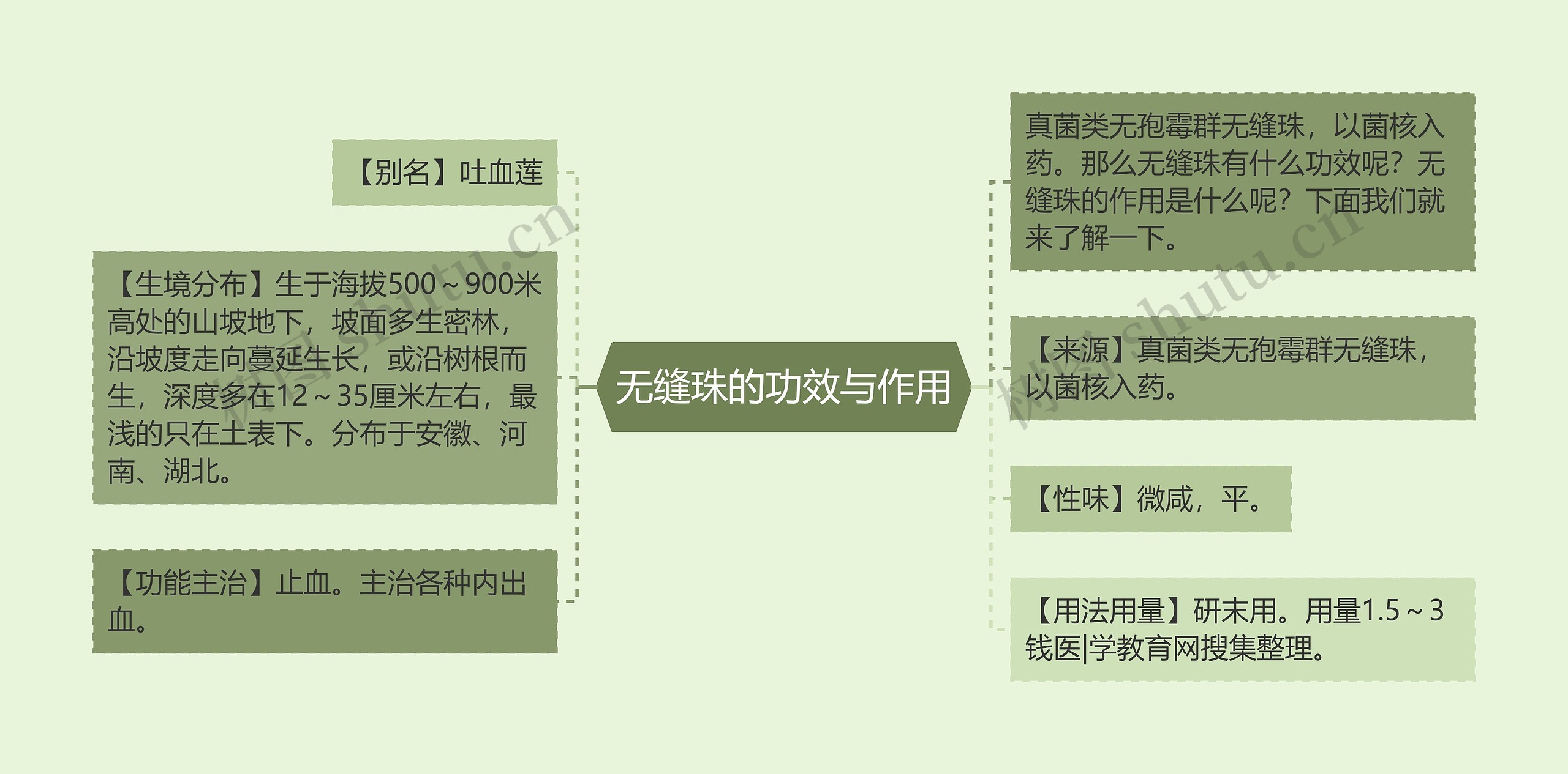 无缝珠的功效与作用