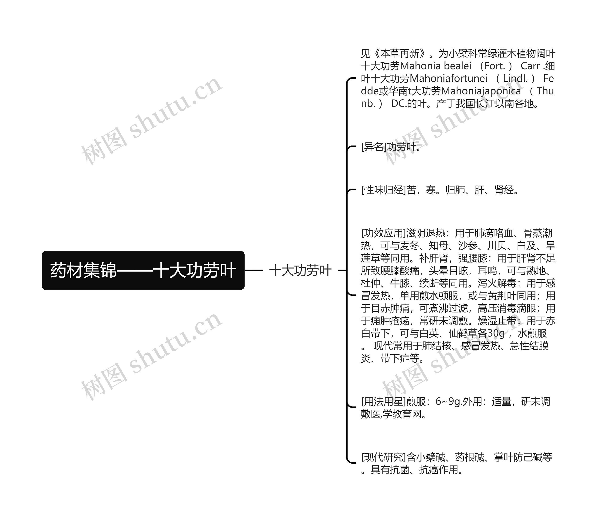 药材集锦——十大功劳叶思维导图