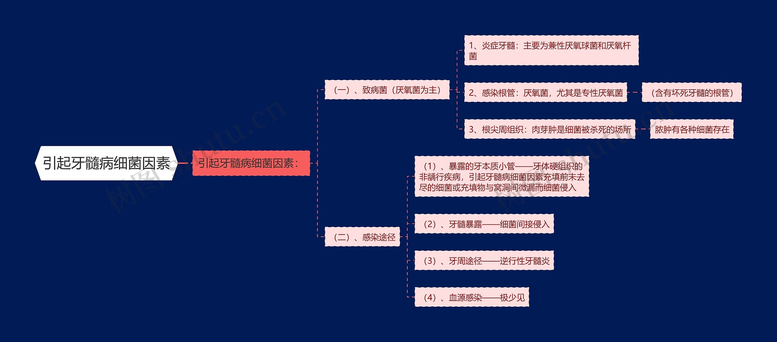 引起牙髓病细菌因素