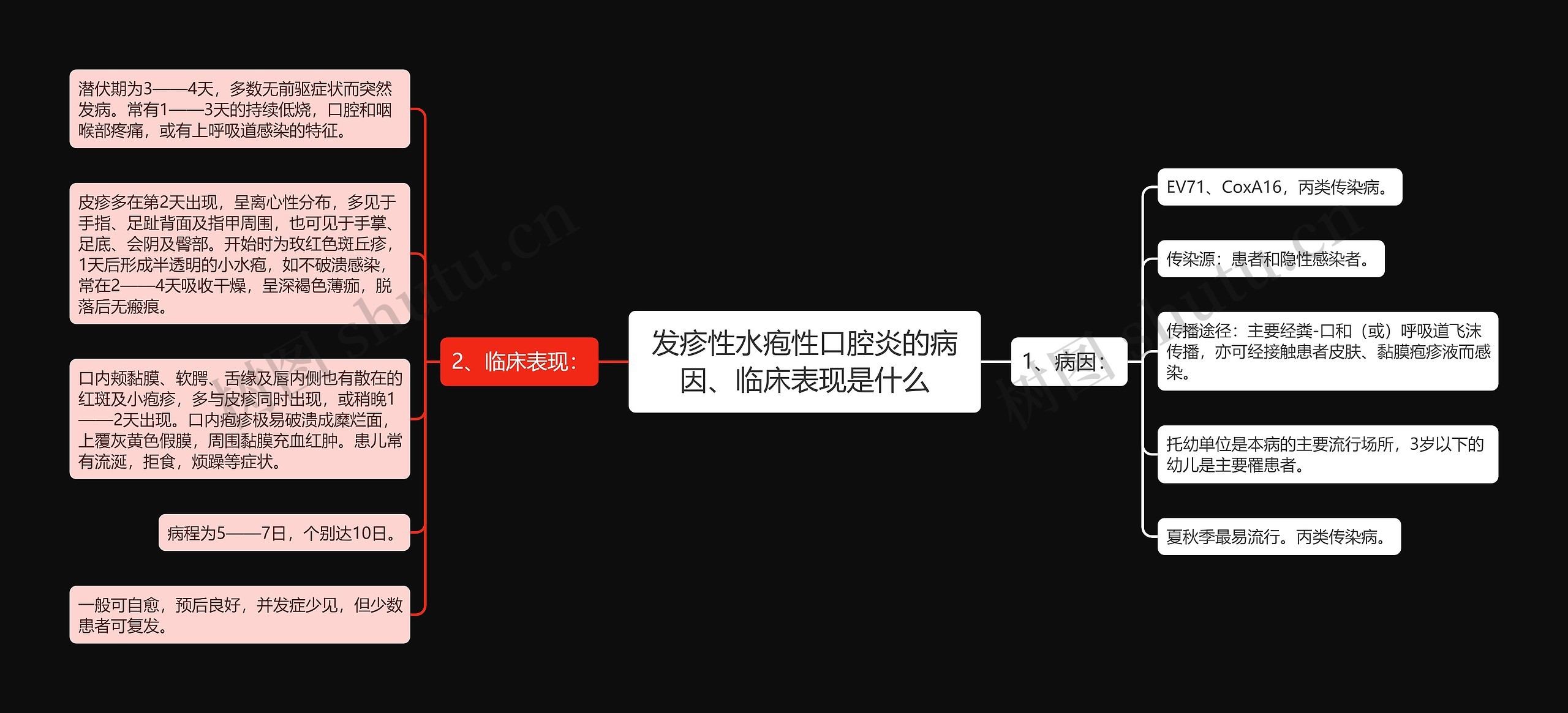 发疹性水疱性口腔炎的病因、临床表现是什么