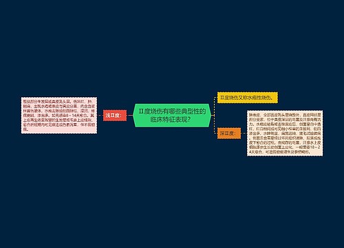 Ⅱ度烧伤有哪些典型性的临床特征表现？