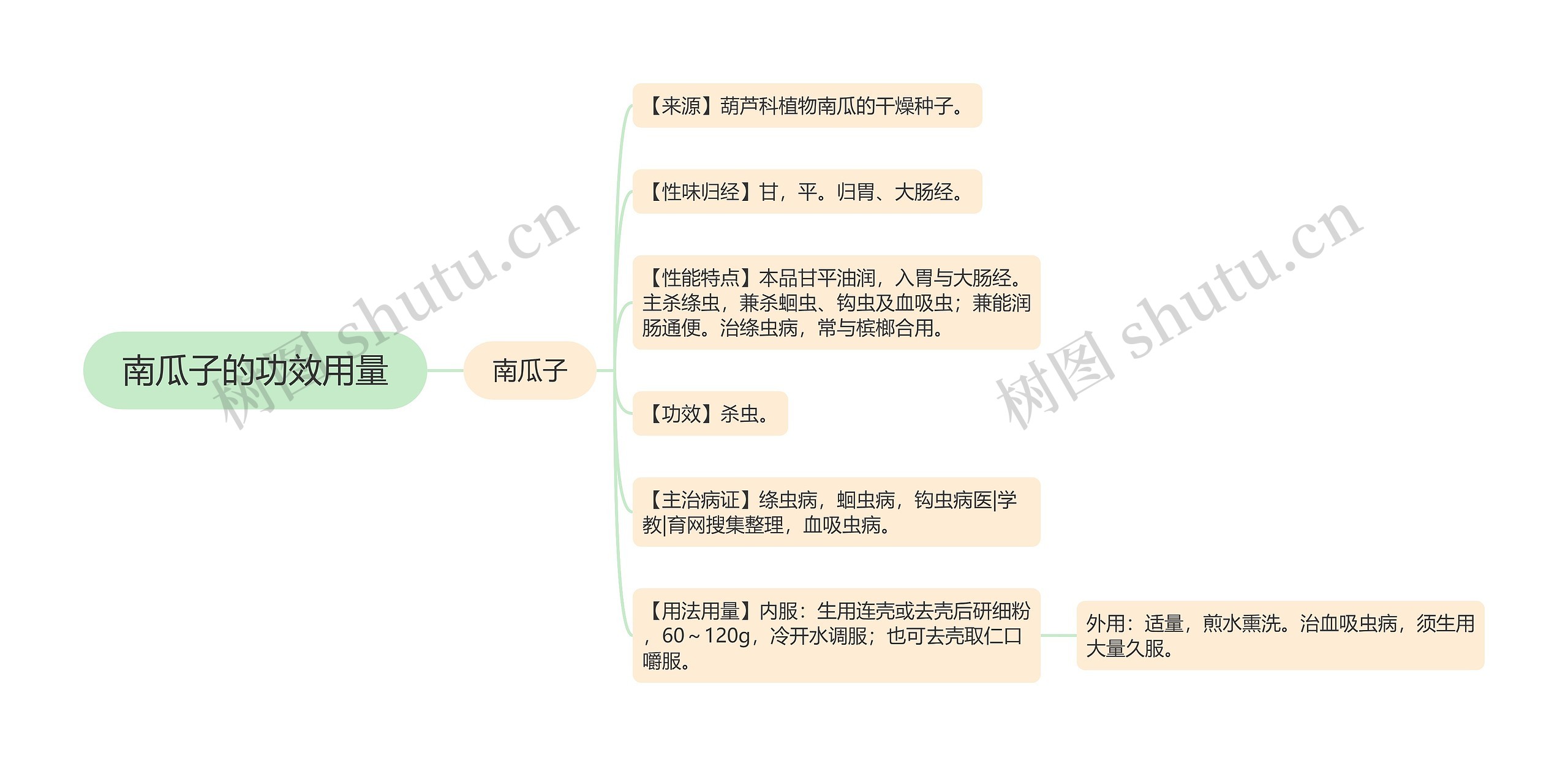 南瓜子的功效用量