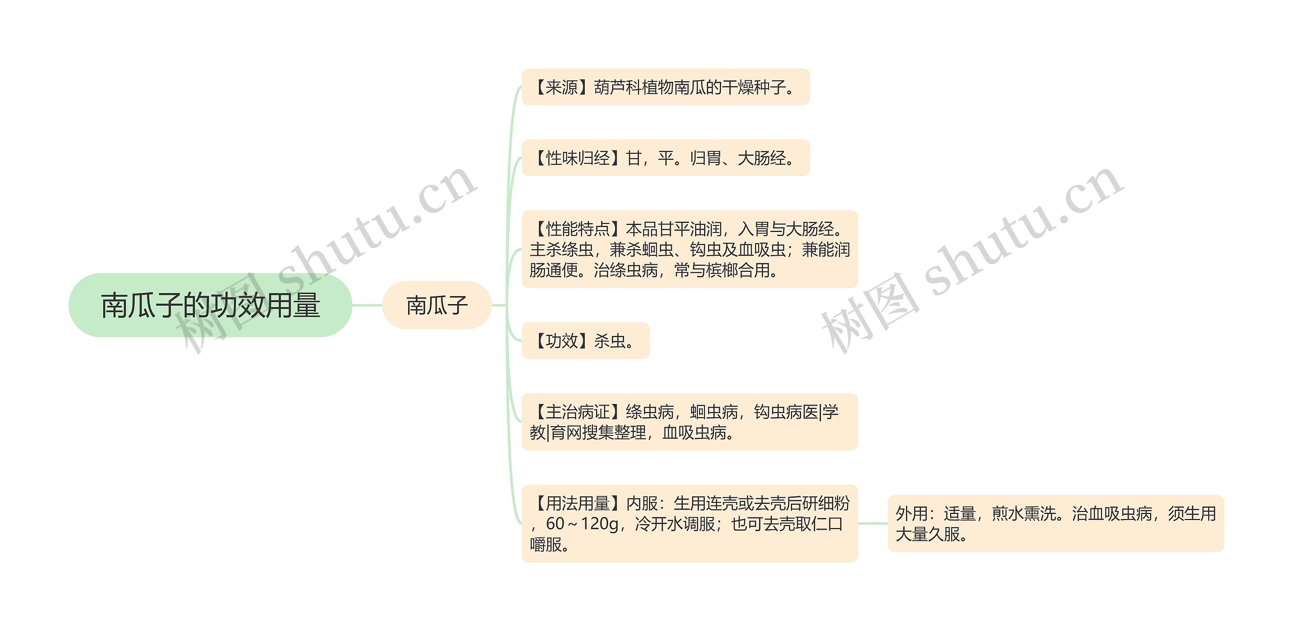 南瓜子的功效用量思维导图