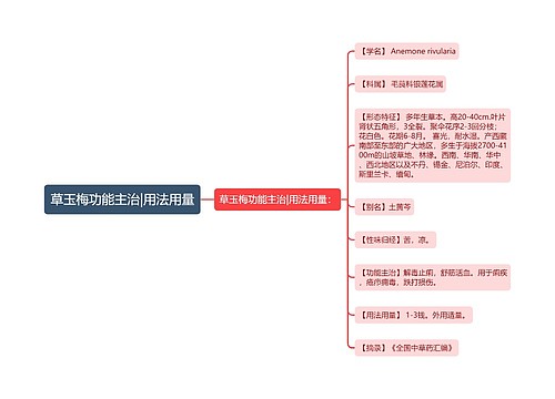 草玉梅功能主治|用法用量