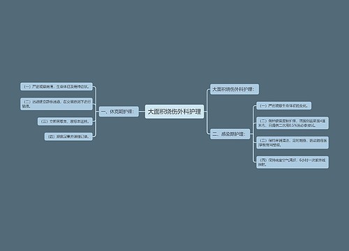 大面积烧伤外科护理