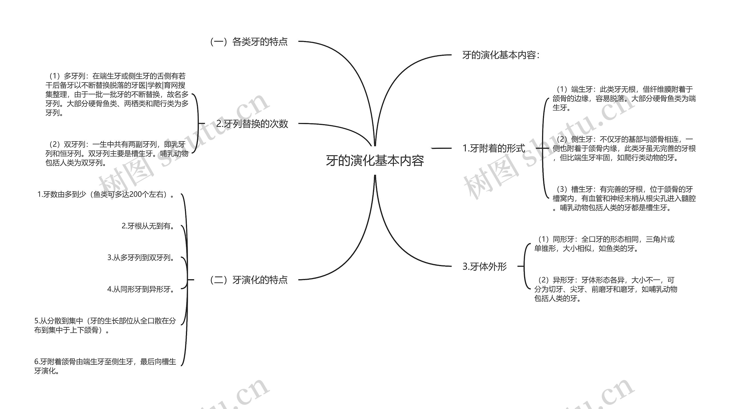 牙的演化基本内容思维导图