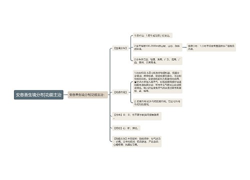 安息香生境分布|功能主治