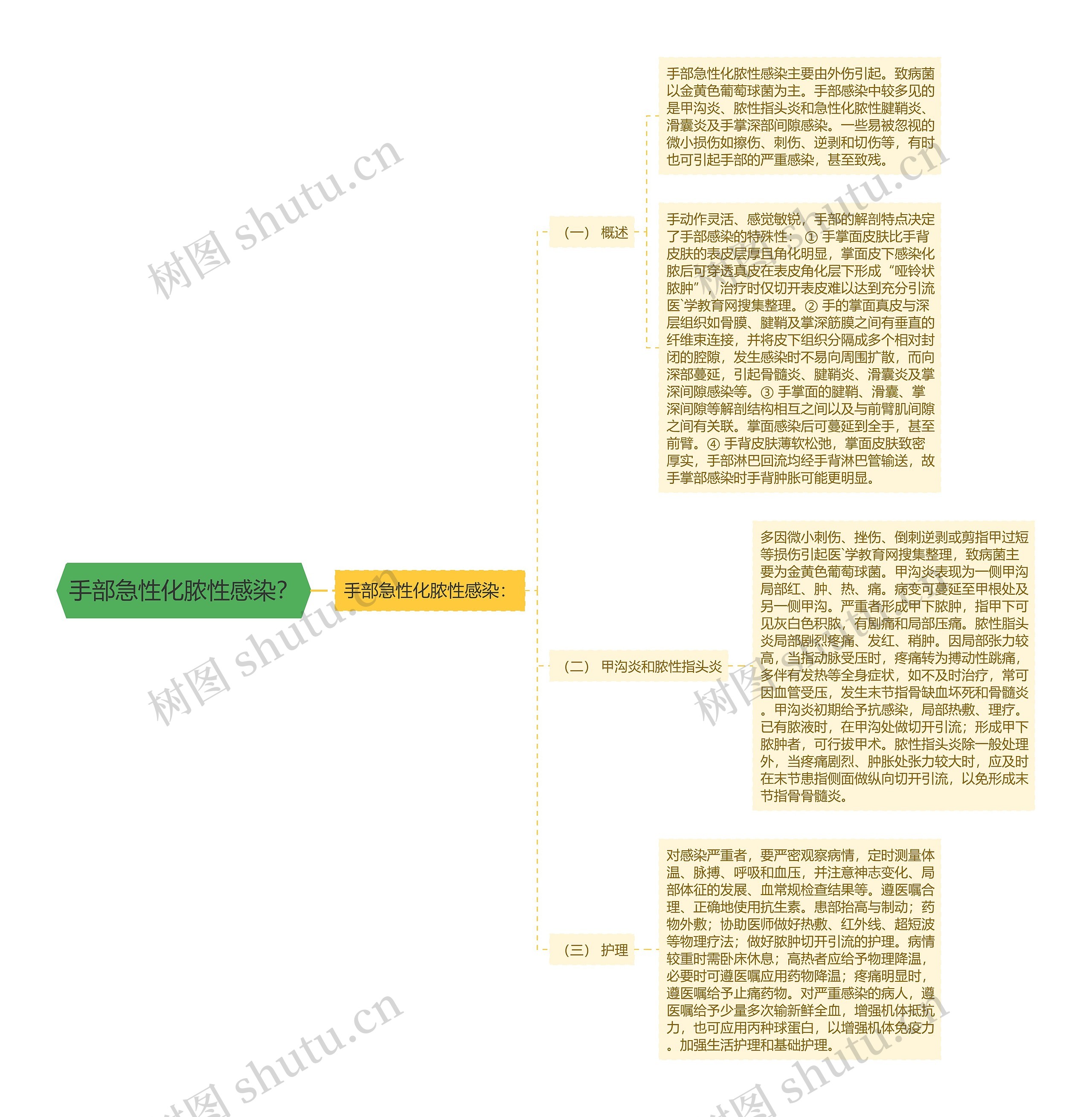 手部急性化脓性感染？思维导图