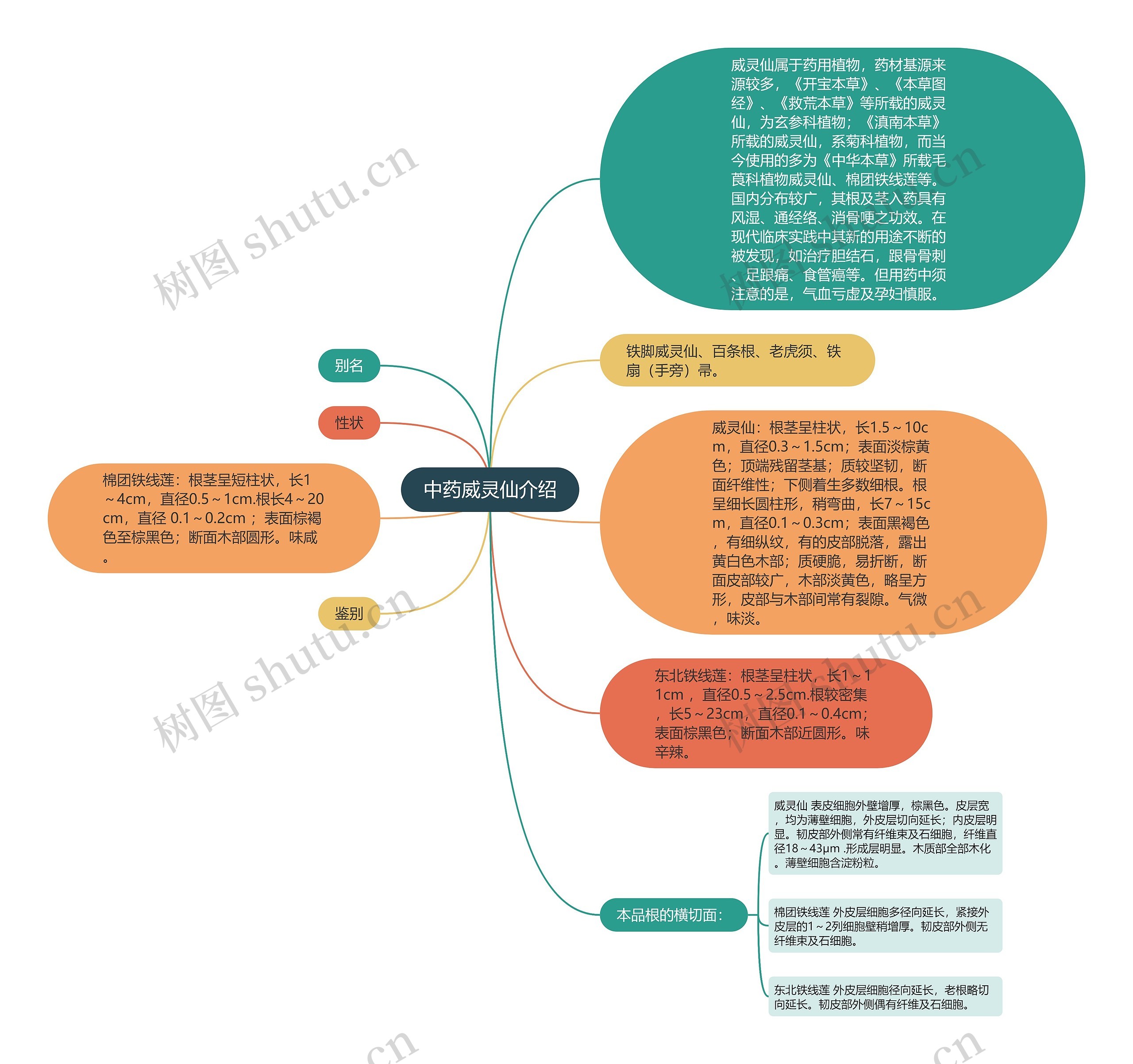 中药威灵仙介绍思维导图