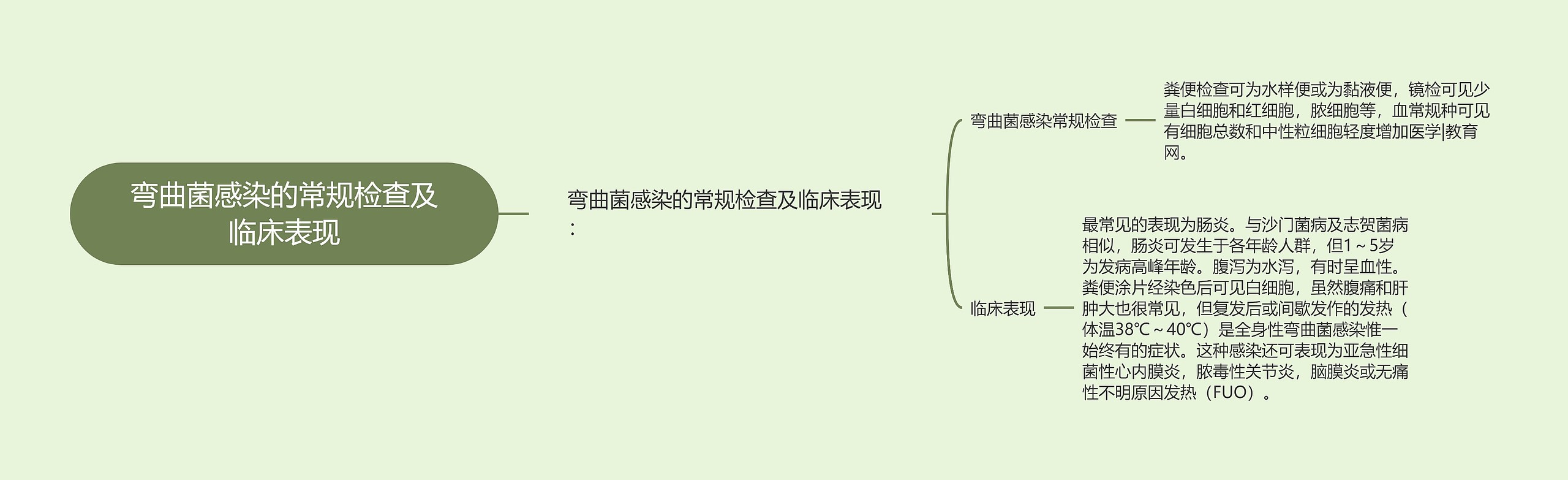 弯曲菌感染的常规检查及临床表现 弯曲菌感染的常规检查及临床表现