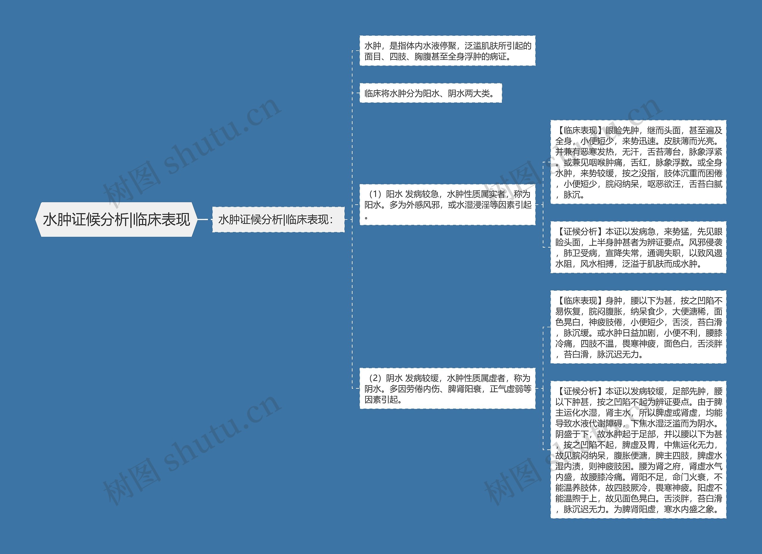 水肿证候分析|临床表现思维导图