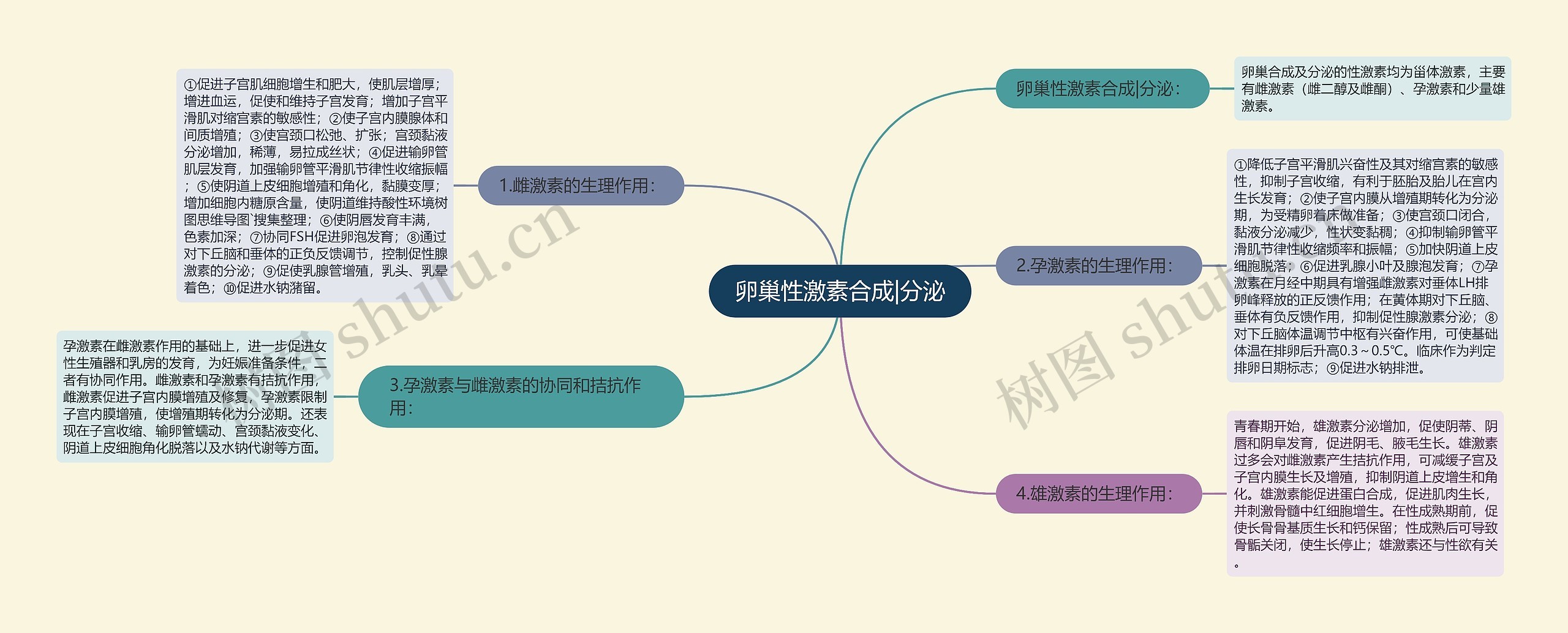 卵巢性激素合成|分泌