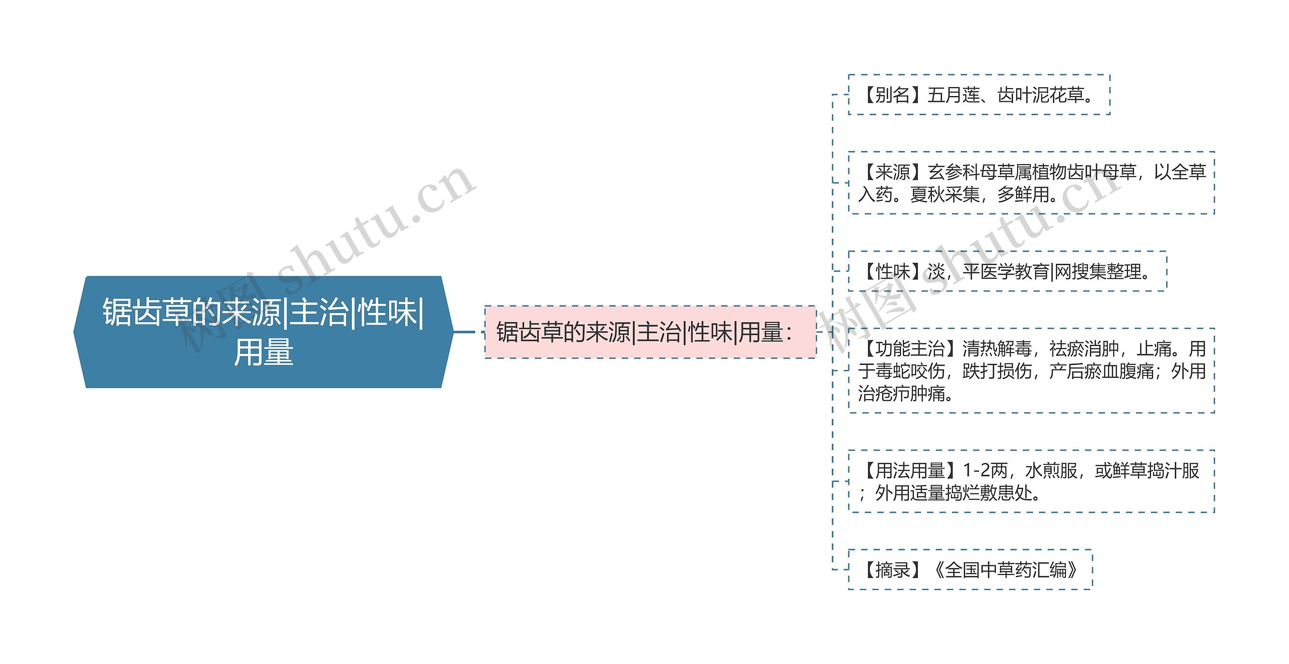 锯齿草的来源|主治|性味|用量思维导图