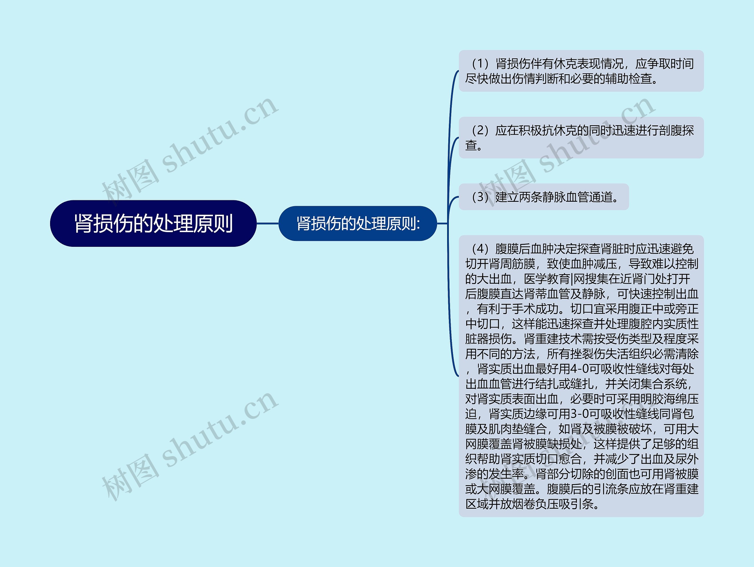 肾损伤的处理原则思维导图