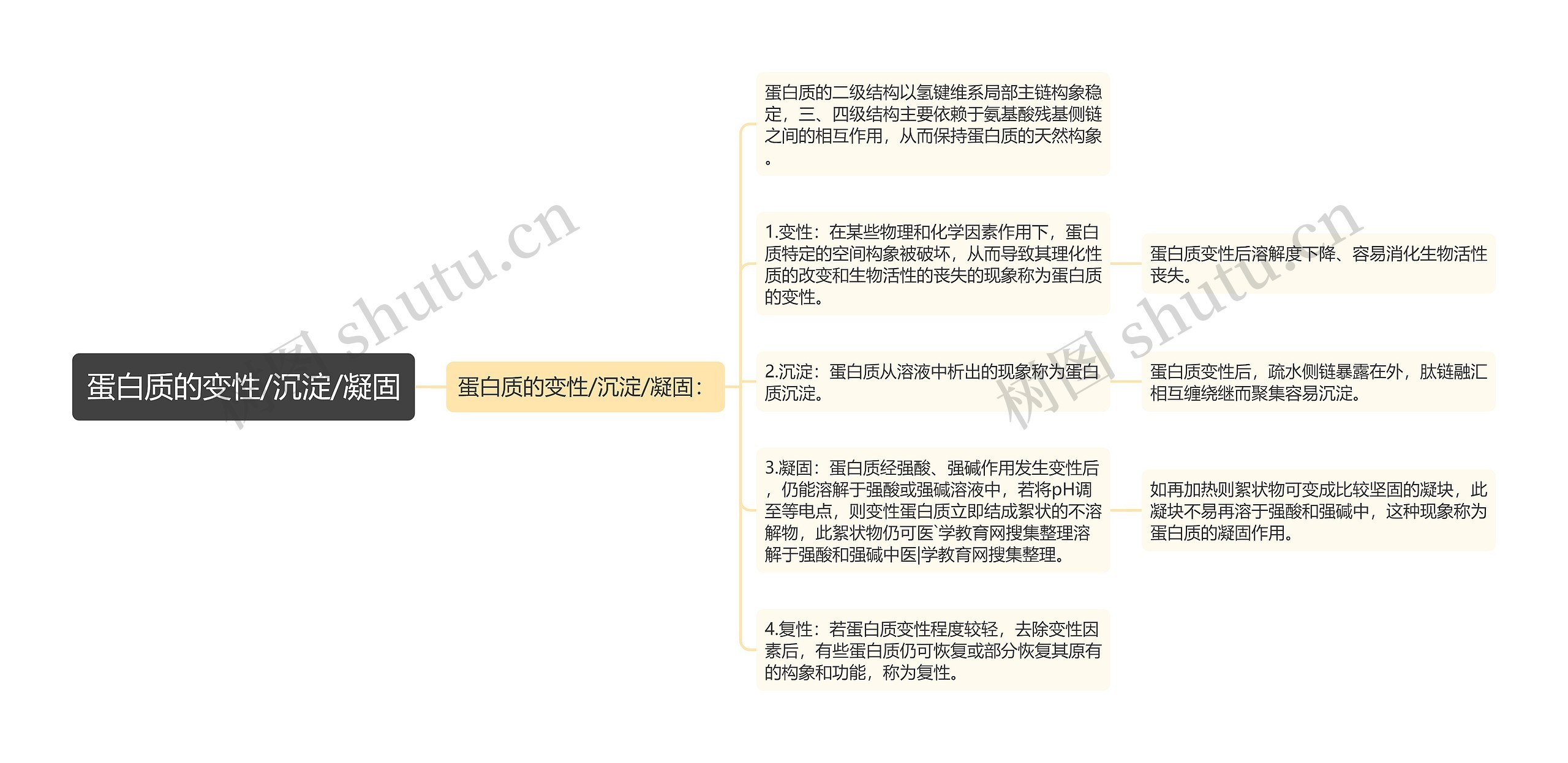 蛋白质的变性/沉淀/凝固