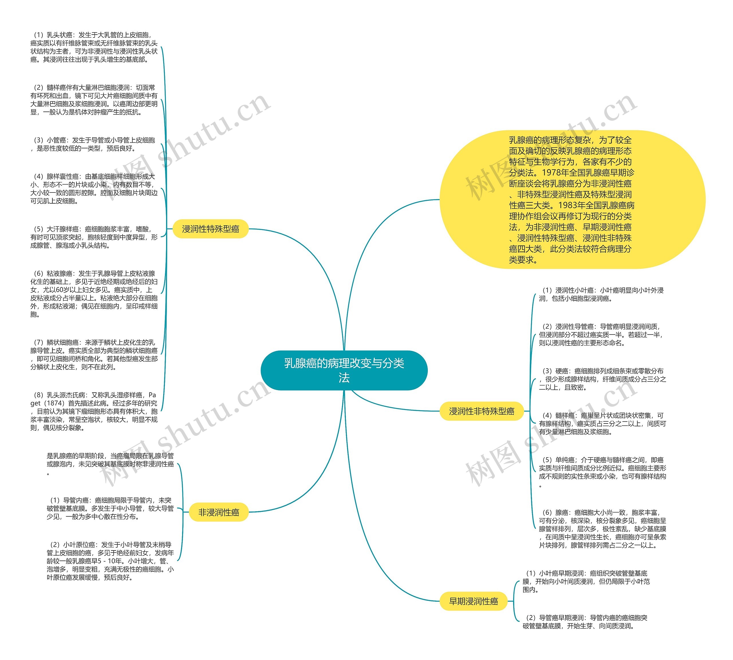 乳腺癌的病理改变与分类法思维导图