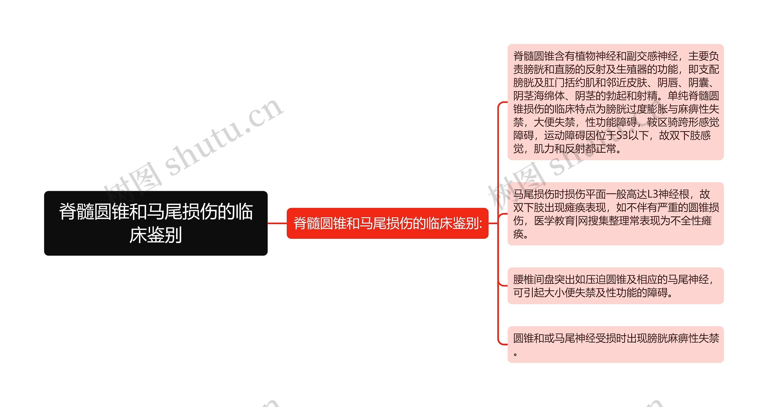 脊髓圆锥和马尾损伤的临床鉴别思维导图