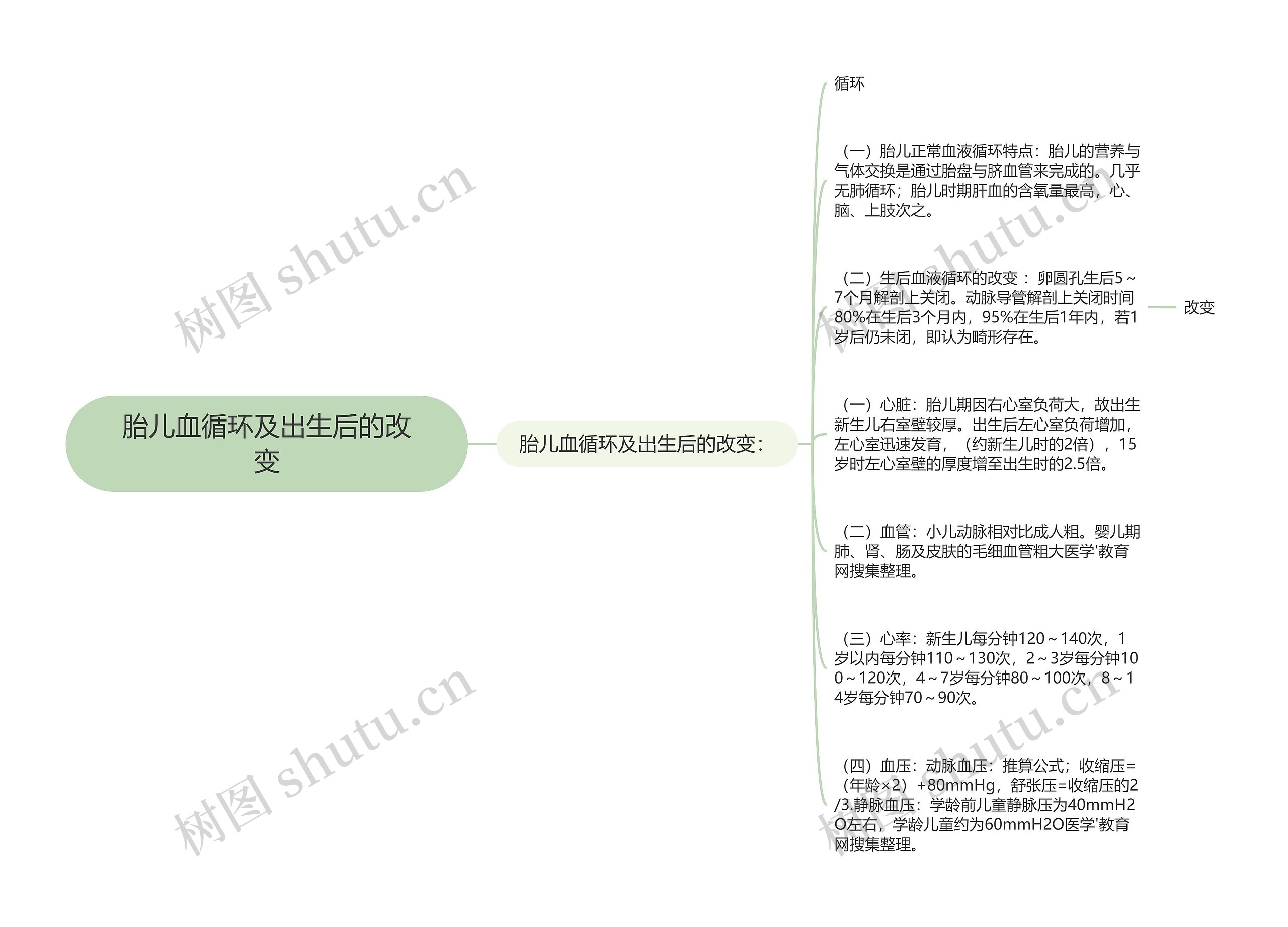 胎儿血循环及出生后的改变