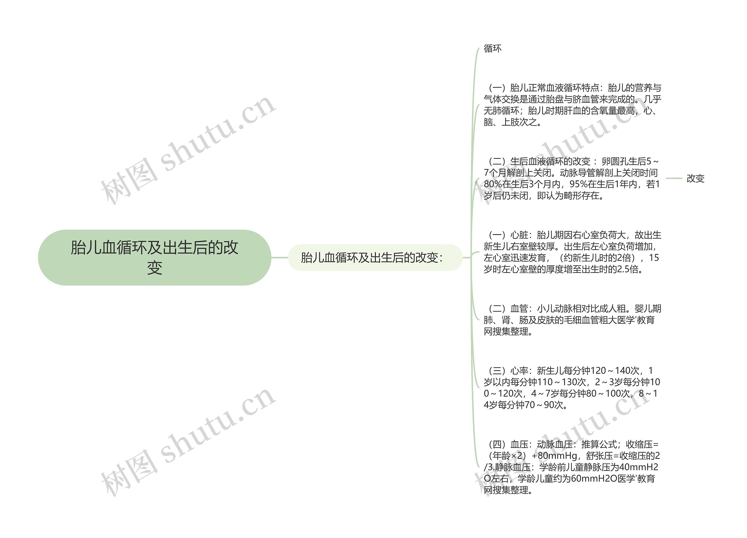 胎儿血循环及出生后的改变思维导图