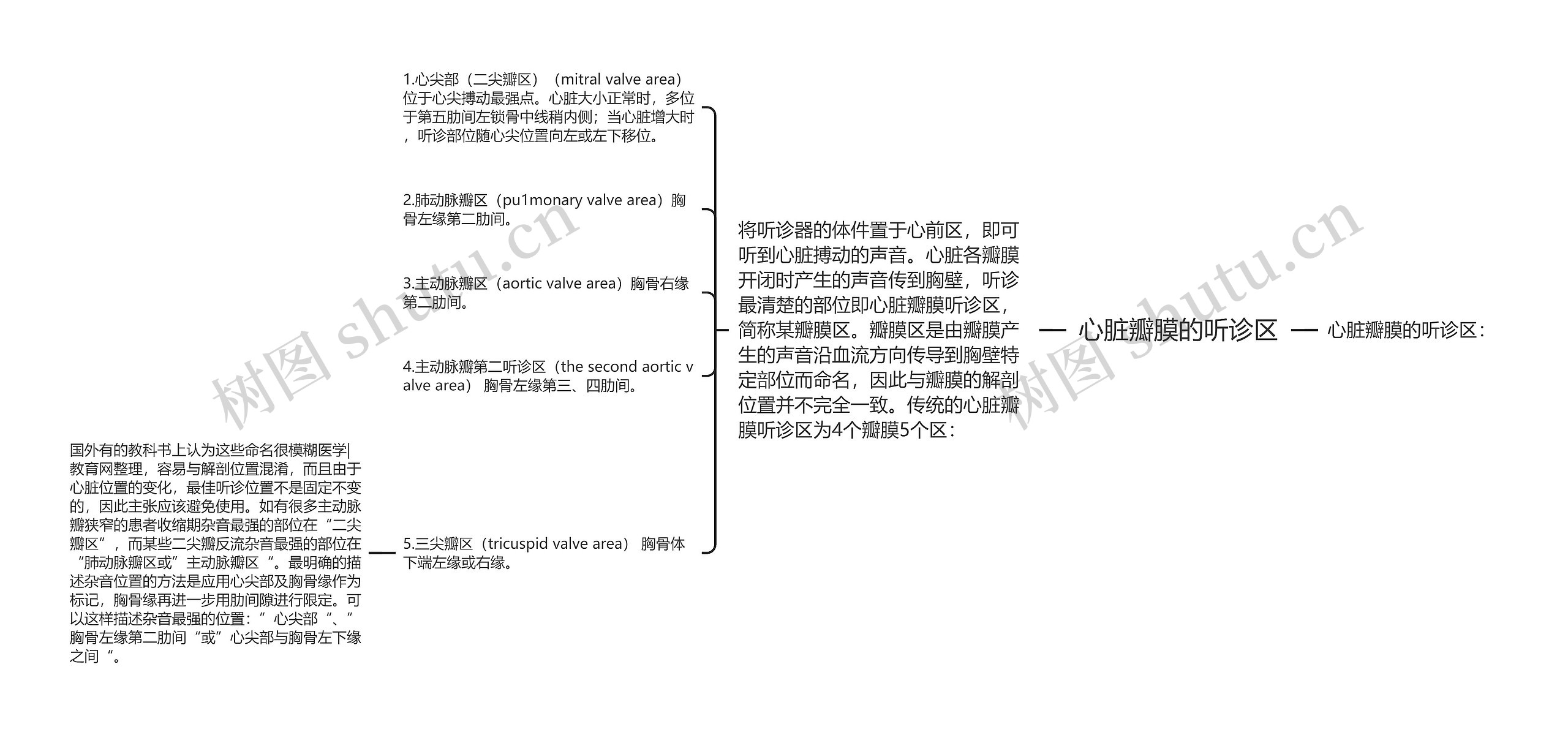 心脏瓣膜的听诊区思维导图