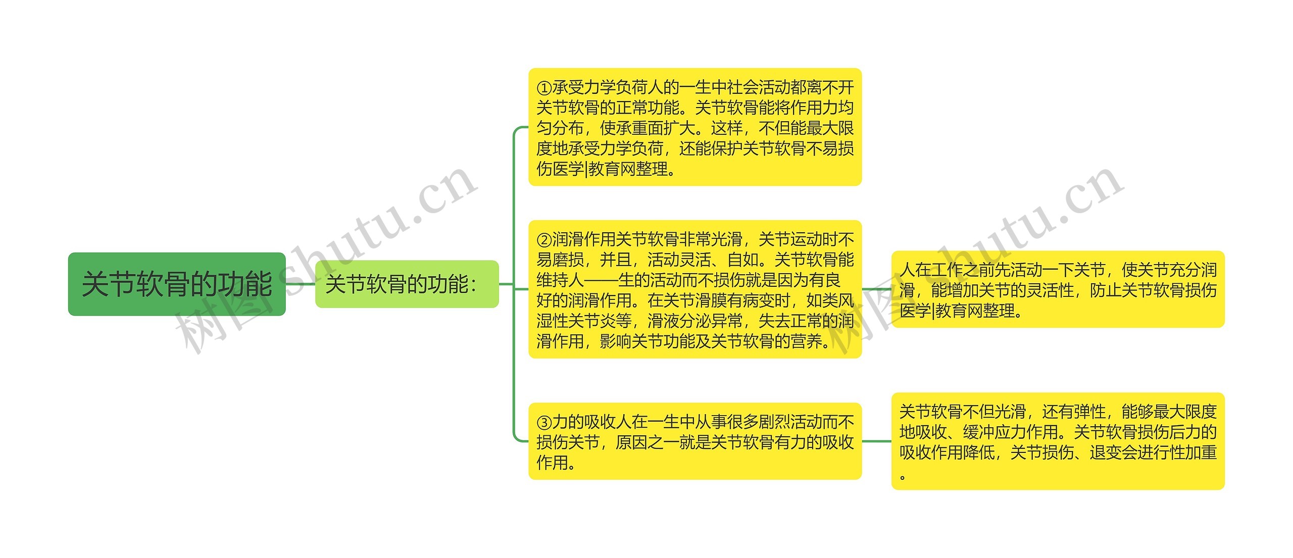 关节软骨的功能