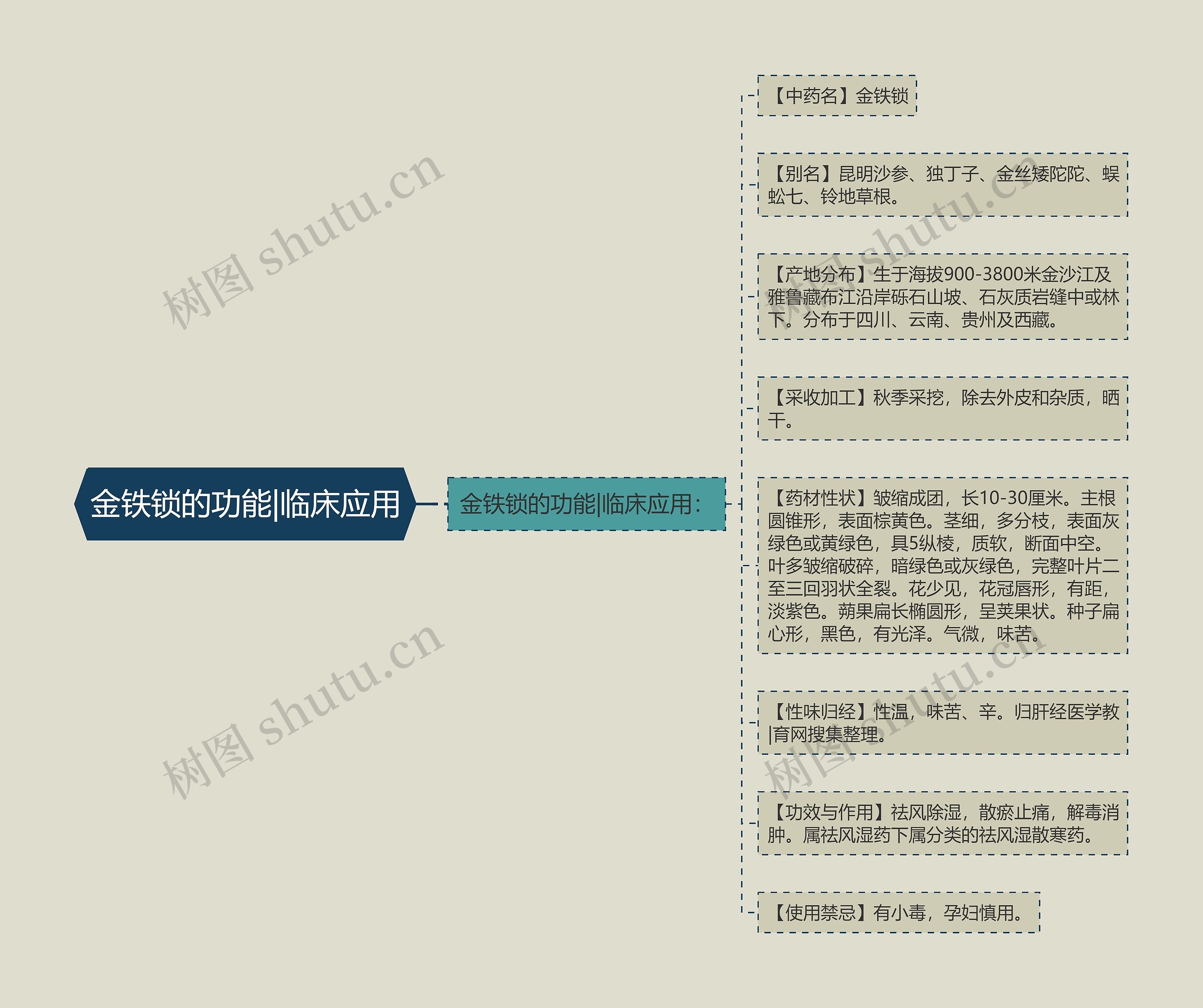 金铁锁的功能|临床应用 金铁锁的功能|临床应用