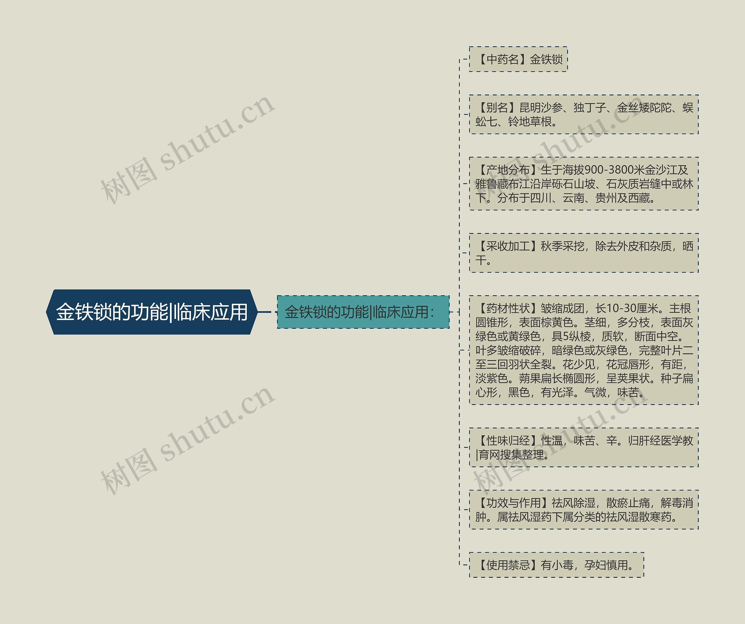 金铁锁的功能|临床应用思维导图