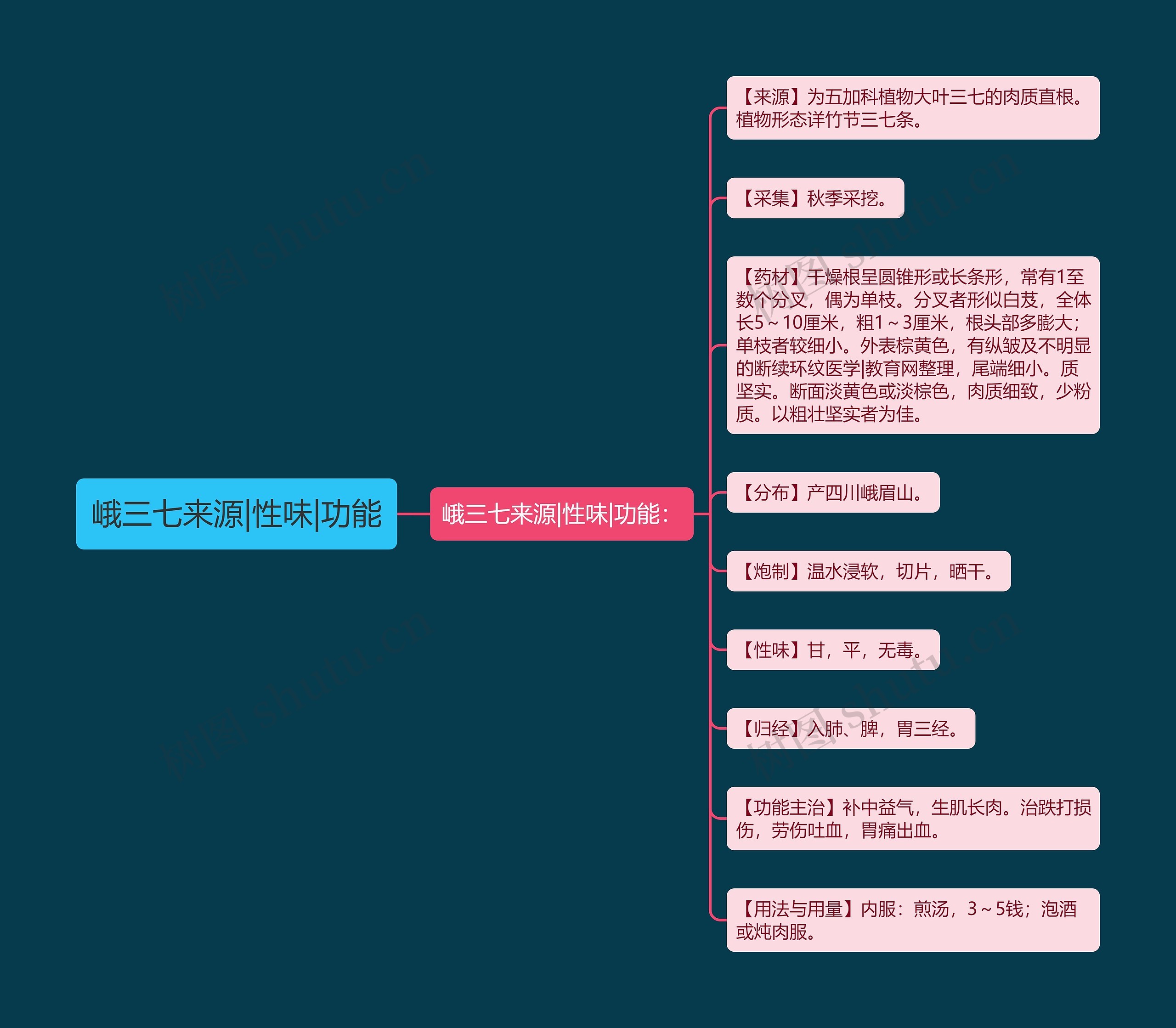 峨三七来源|性味|功能 峨三七来源|性味|功能