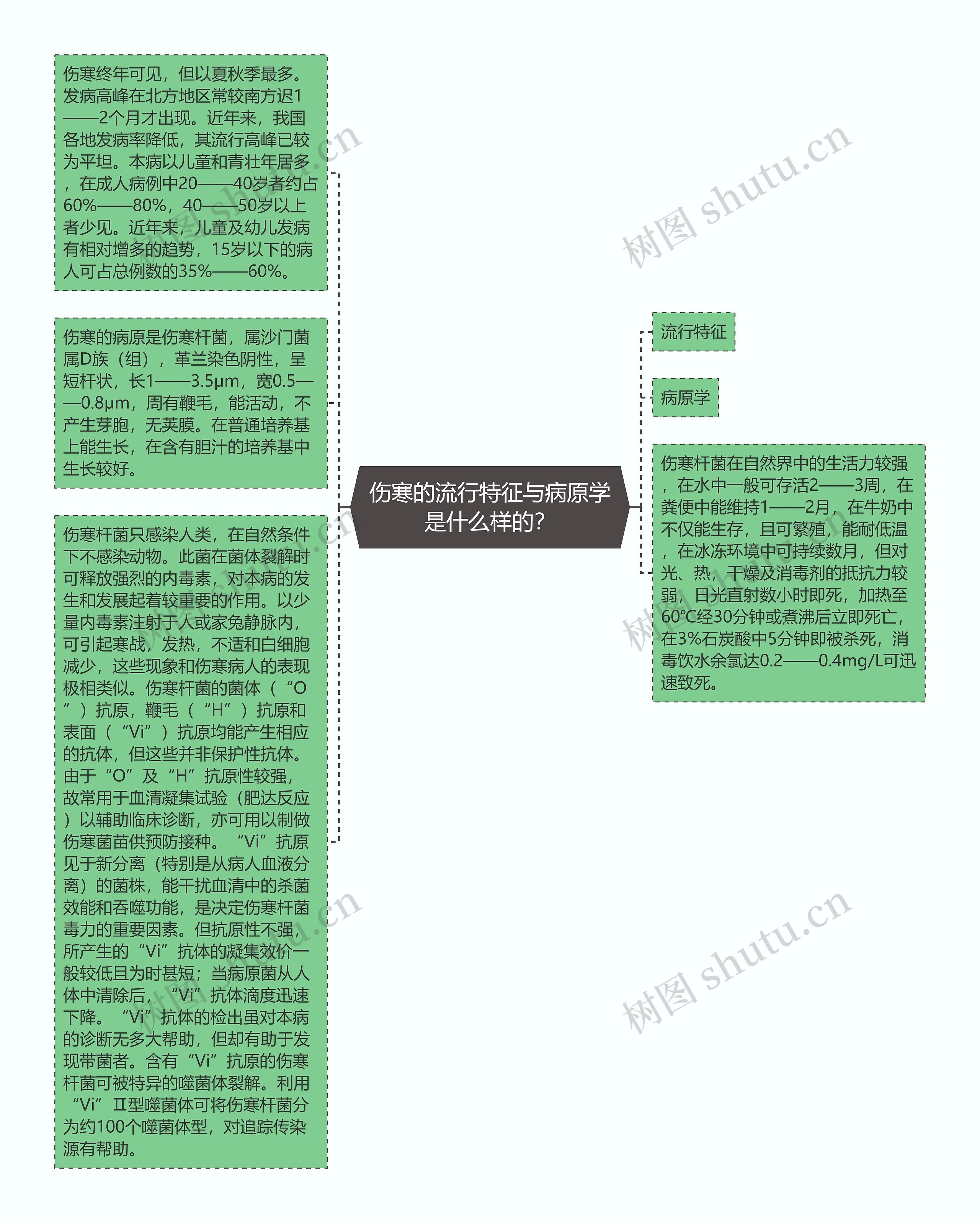 伤寒的流行特征与病原学是什么样的？