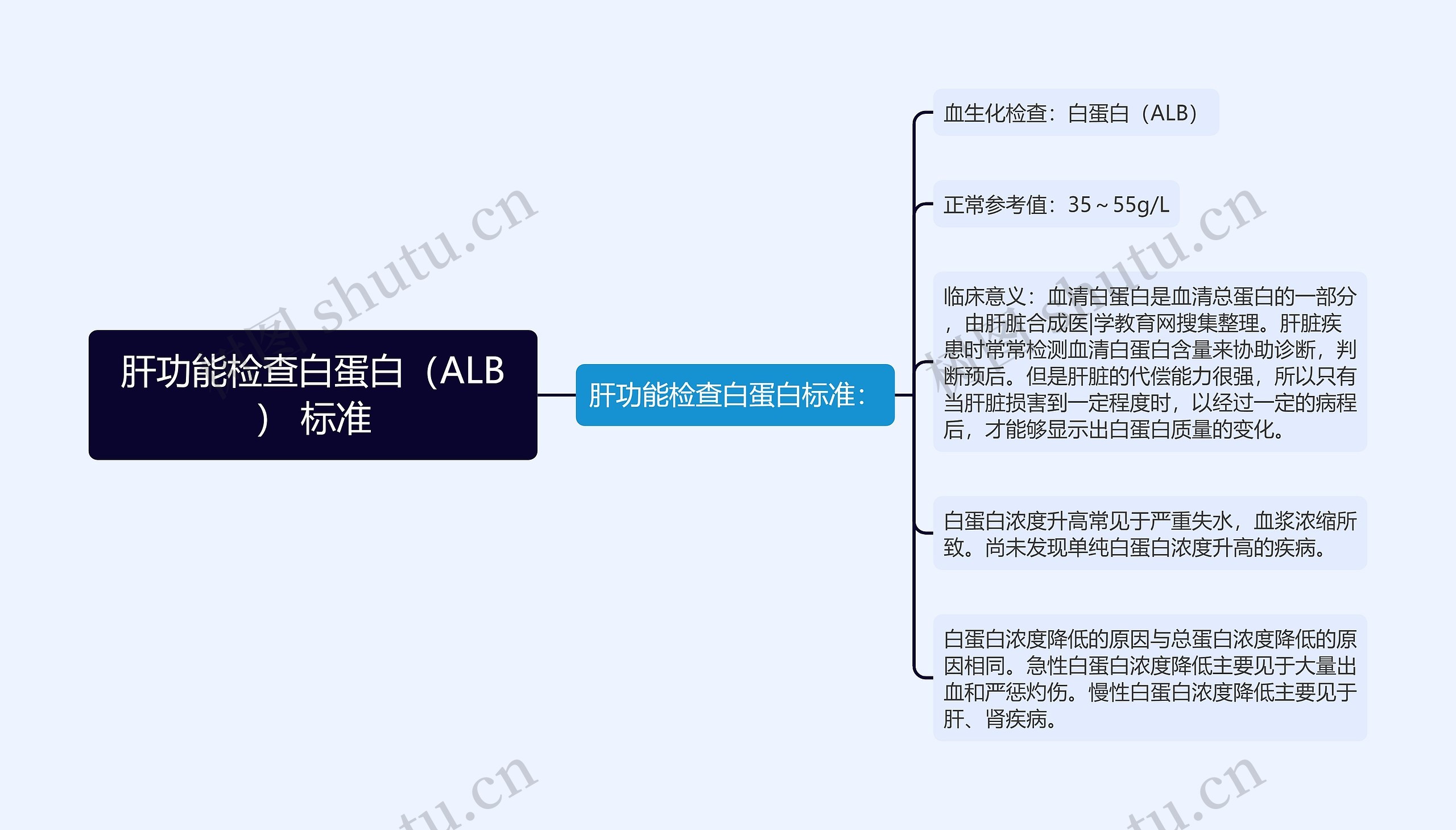 肝功能检查白蛋白（ALB） 标准思维导图