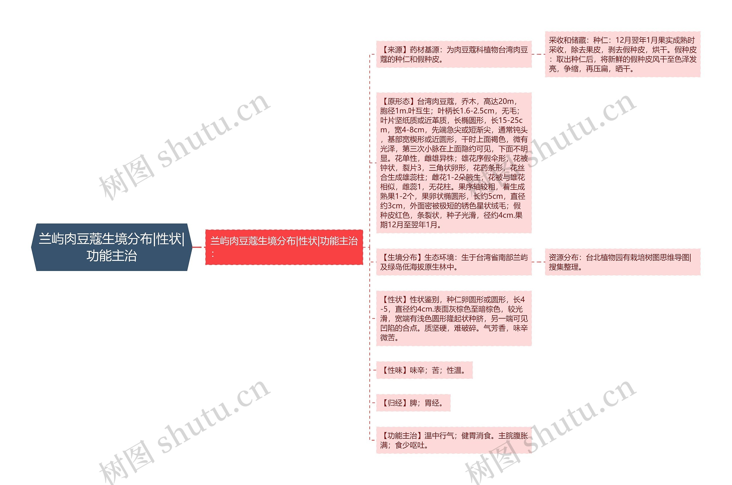 兰屿肉豆蔻生境分布|性状|功能主治思维导图