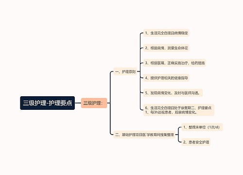 三级护理-护理要点