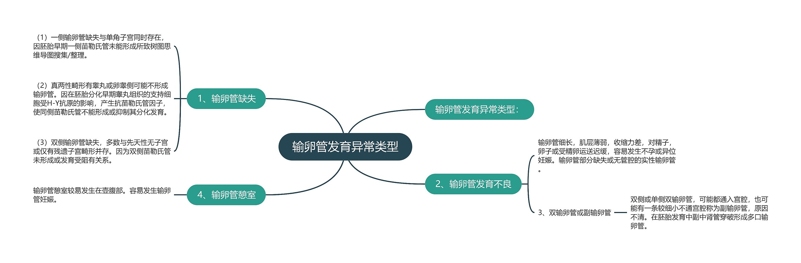 输卵管发育异常类型思维导图