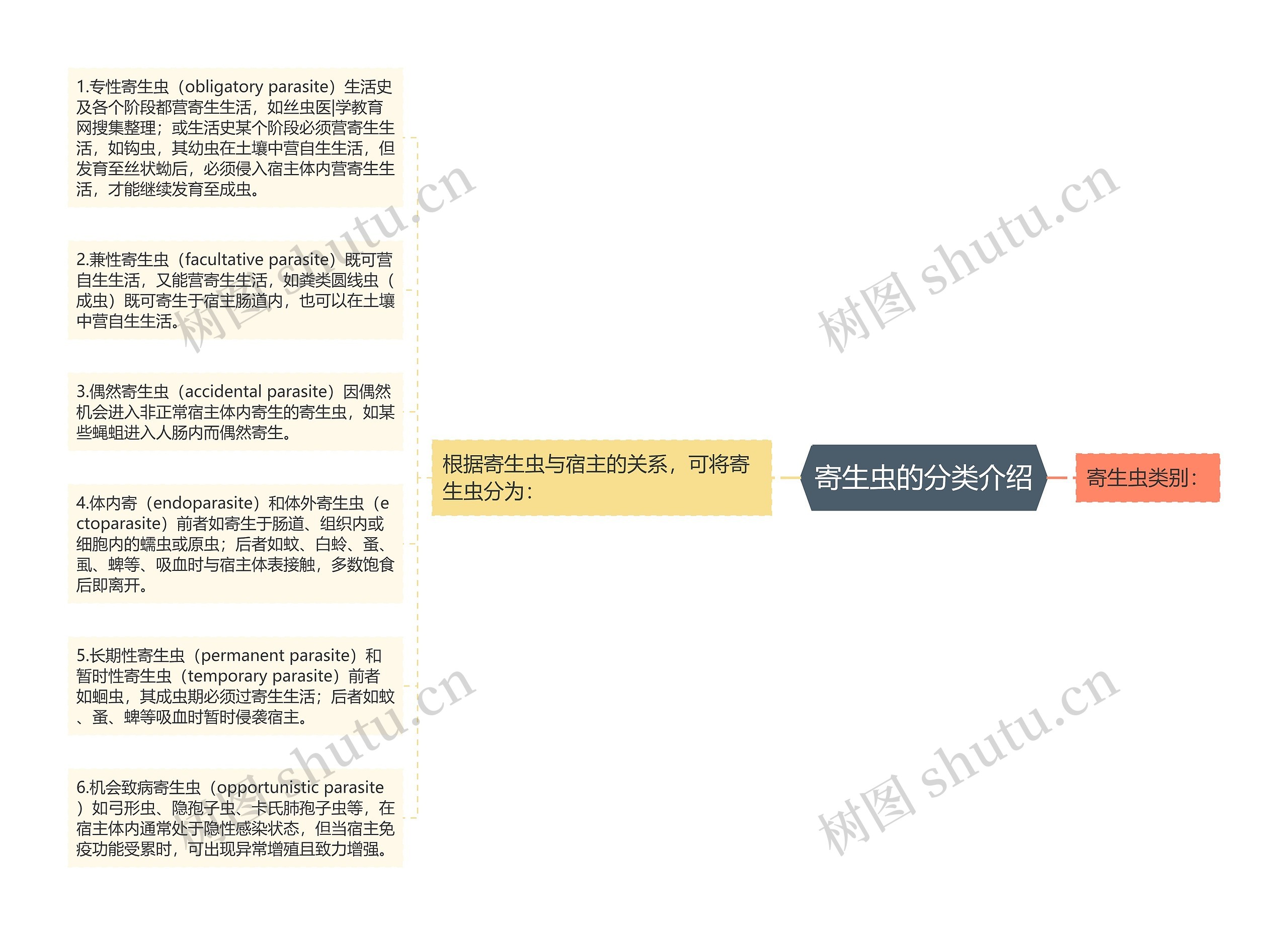 寄生虫的分类介绍思维导图