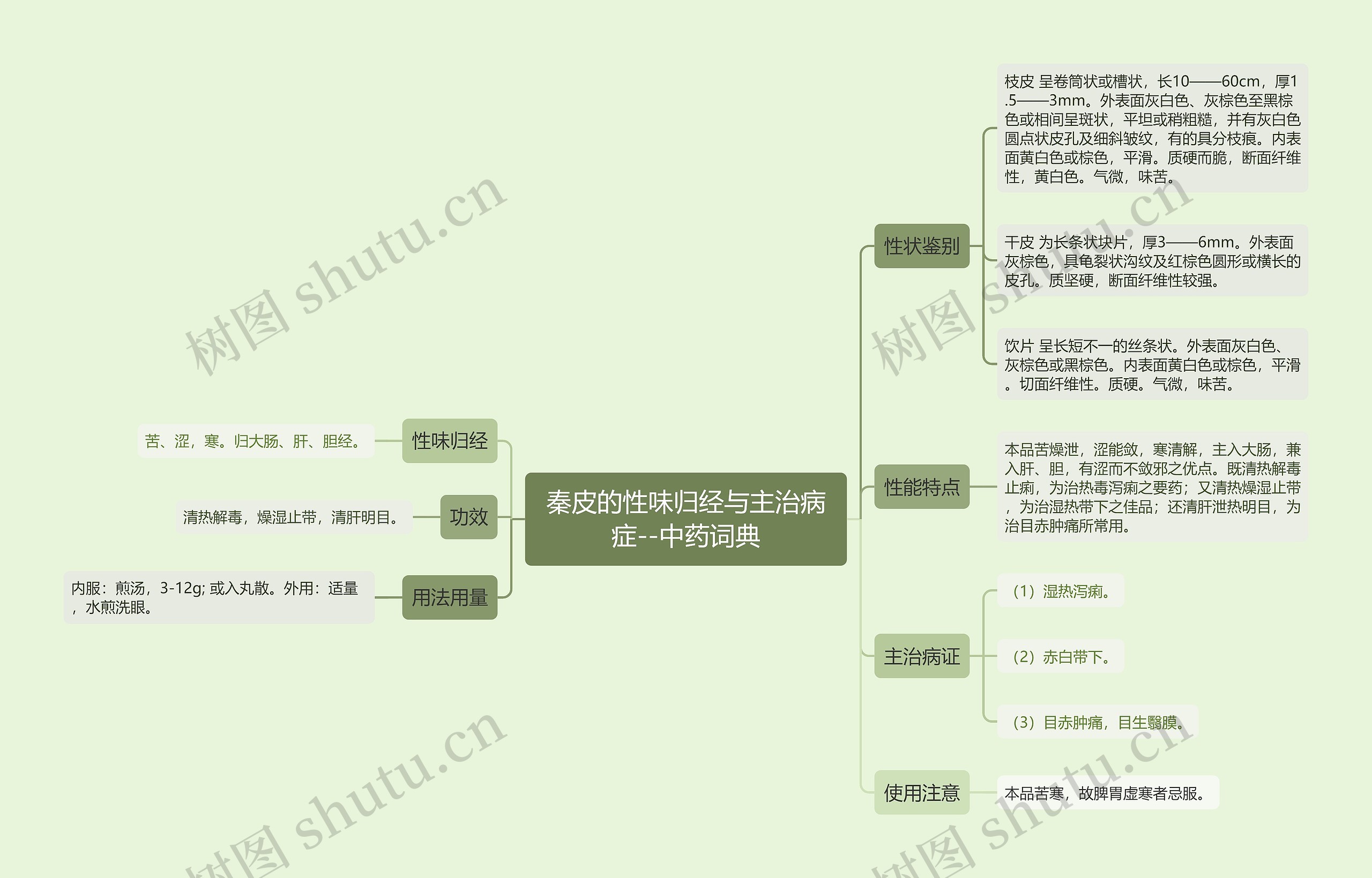 秦皮的性味归经与主治病症--中药词典思维导图