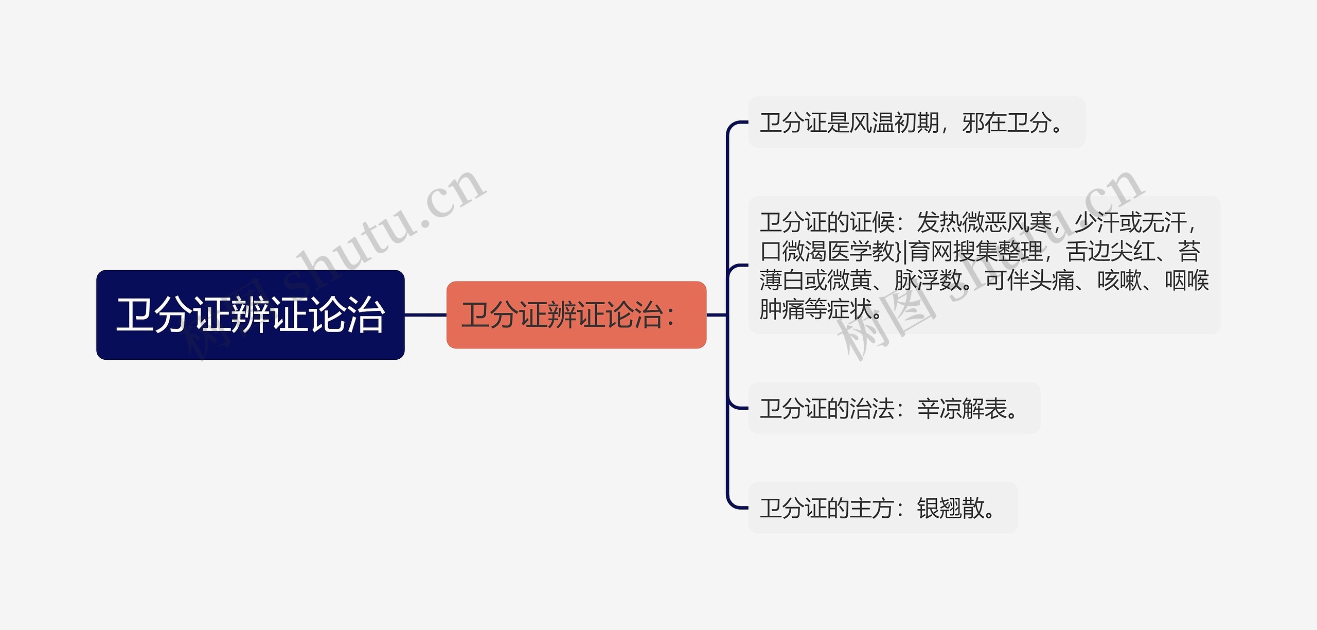 卫分证辨证论治思维导图