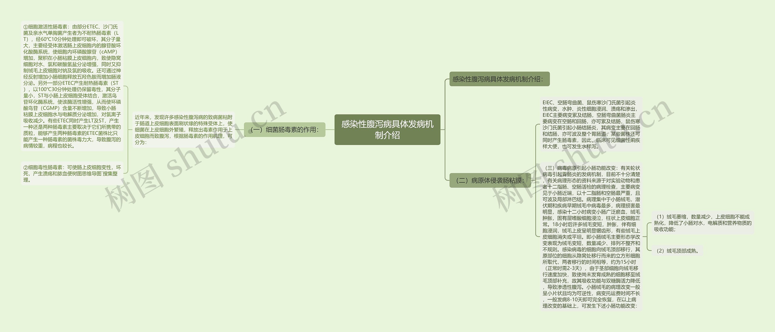 感染性腹泻病具体发病机制介绍 感染性腹泻病具体发病机制介绍