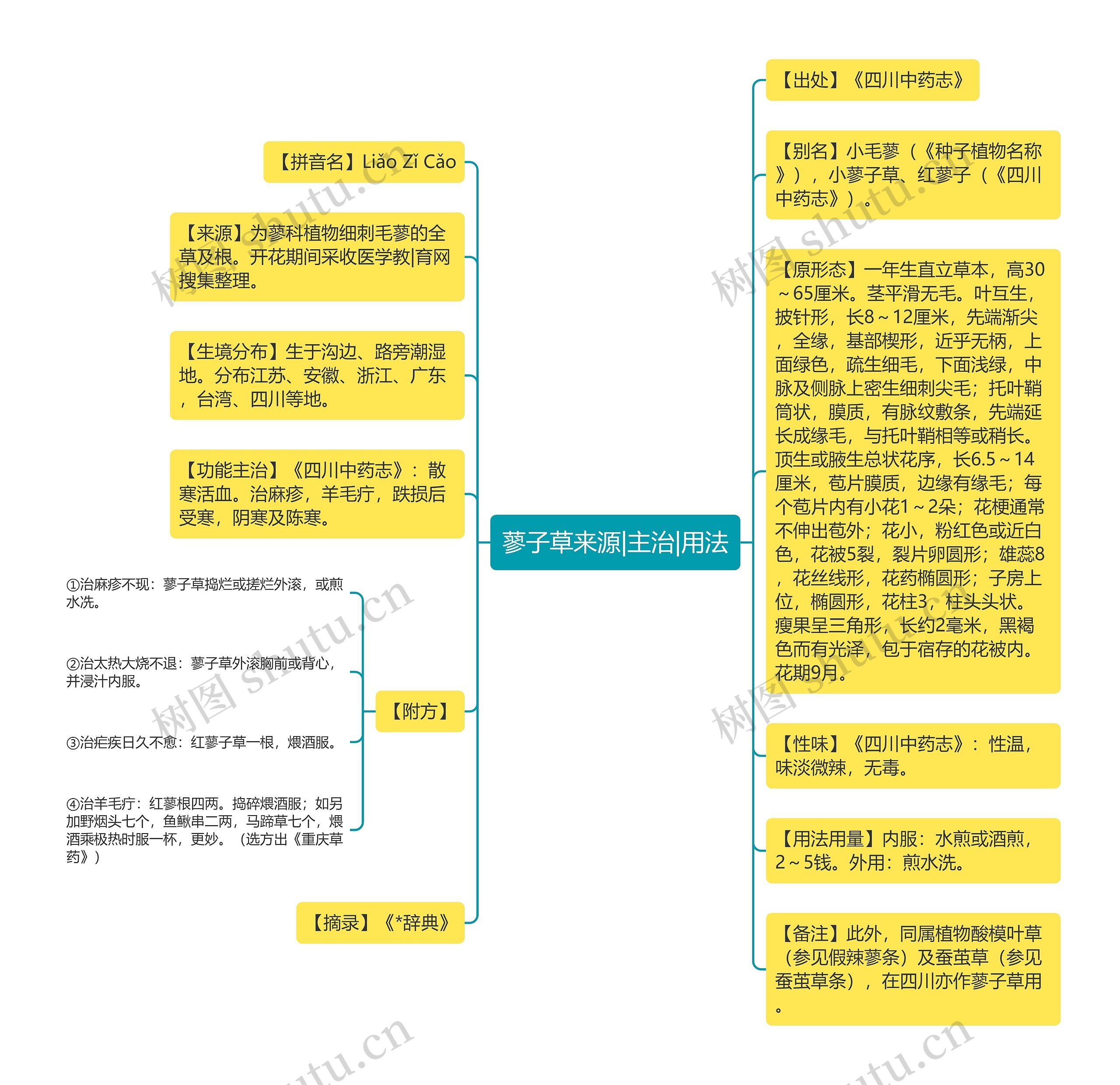 蓼子草来源|主治|用法思维导图