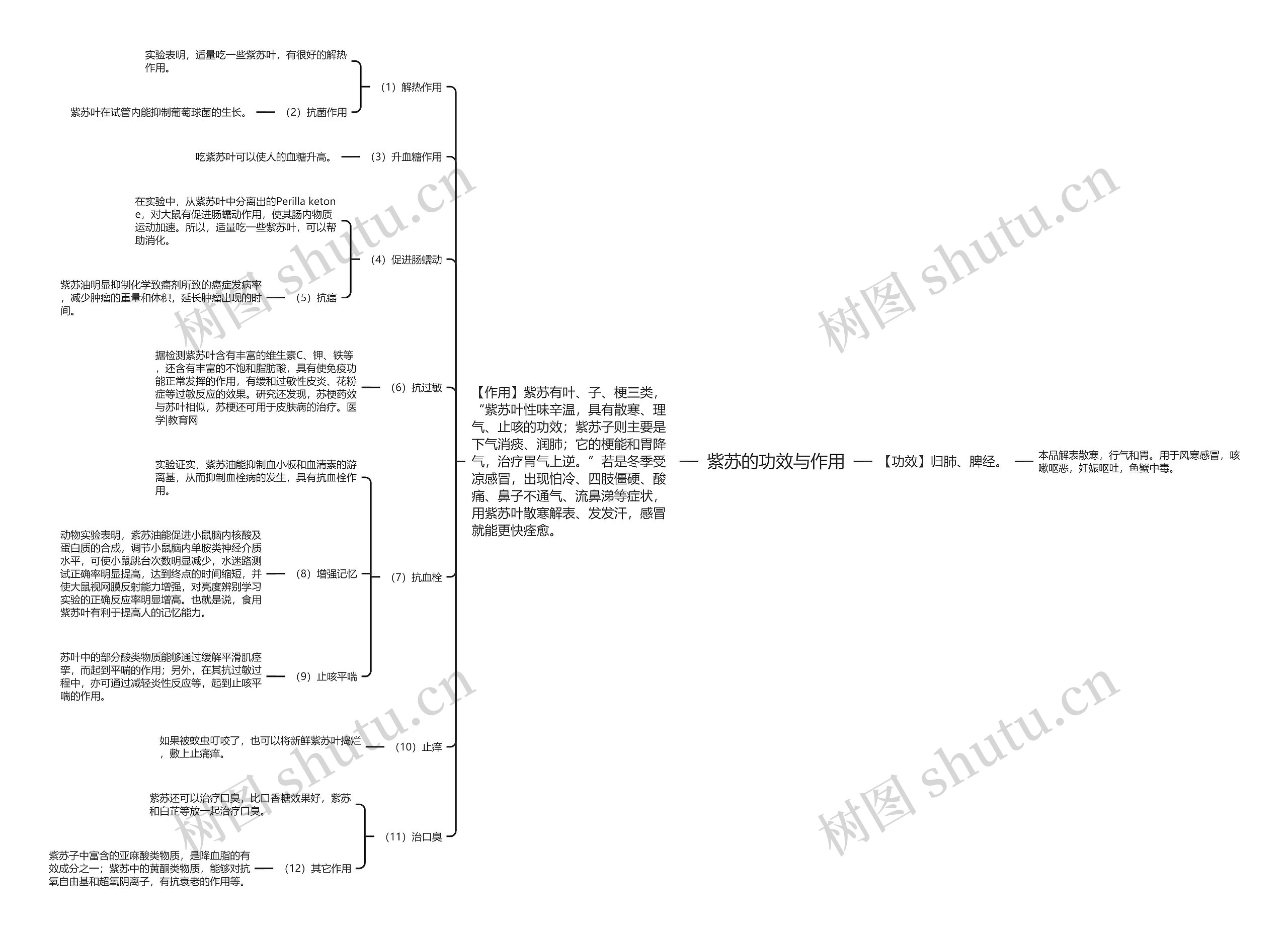 紫苏的功效与作用思维导图