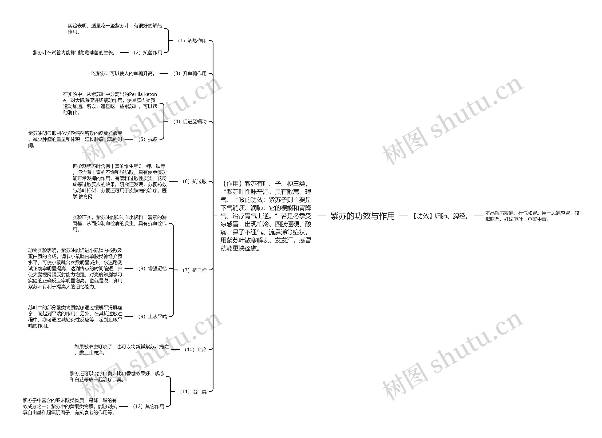紫苏的功效与作用 紫苏的功效与作用