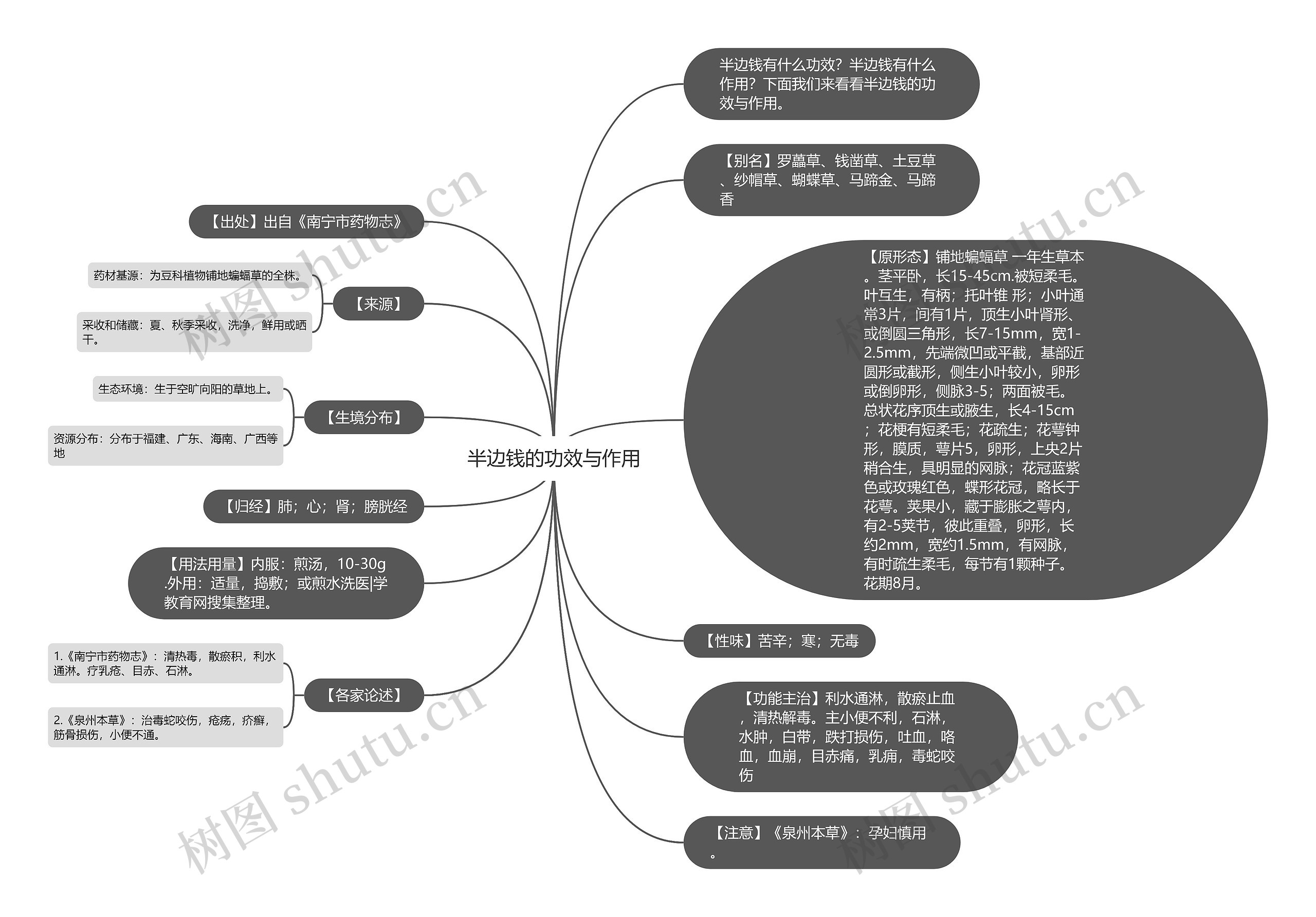 半边钱的功效与作用思维导图