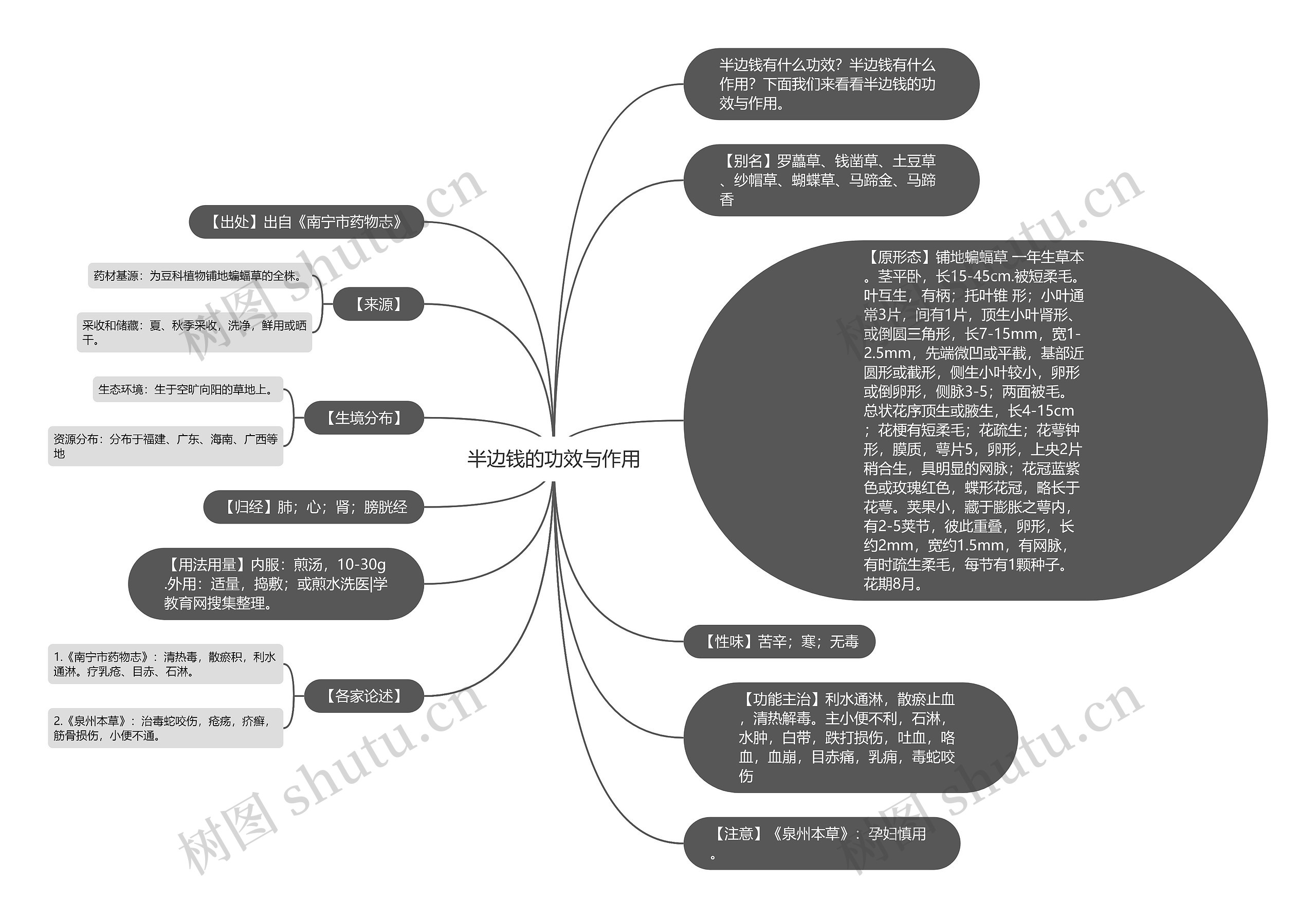 半边钱的功效与作用 半边钱的功效与作用