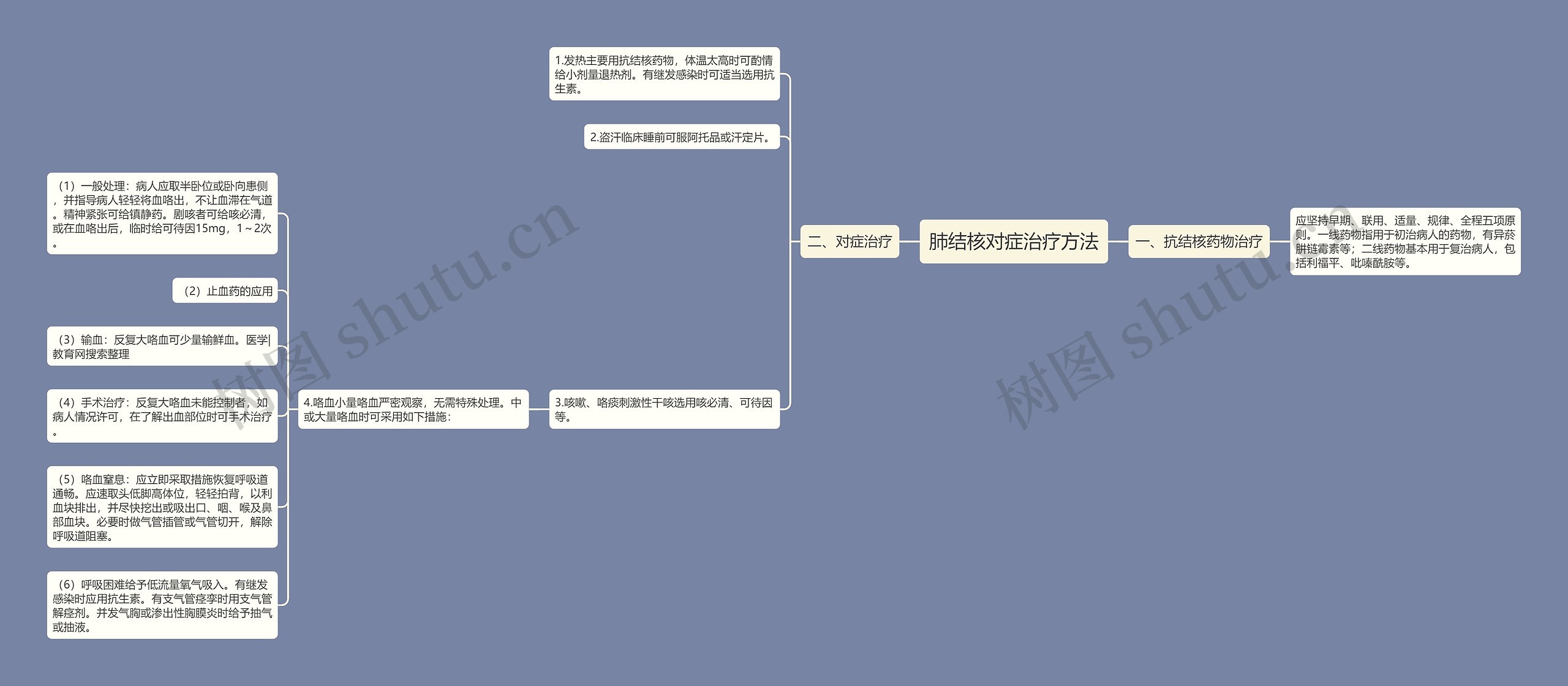 肺结核对症治疗方法思维导图