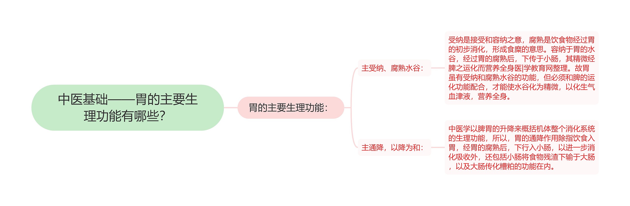 中医基础——胃的主要生理功能有哪些？思维导图