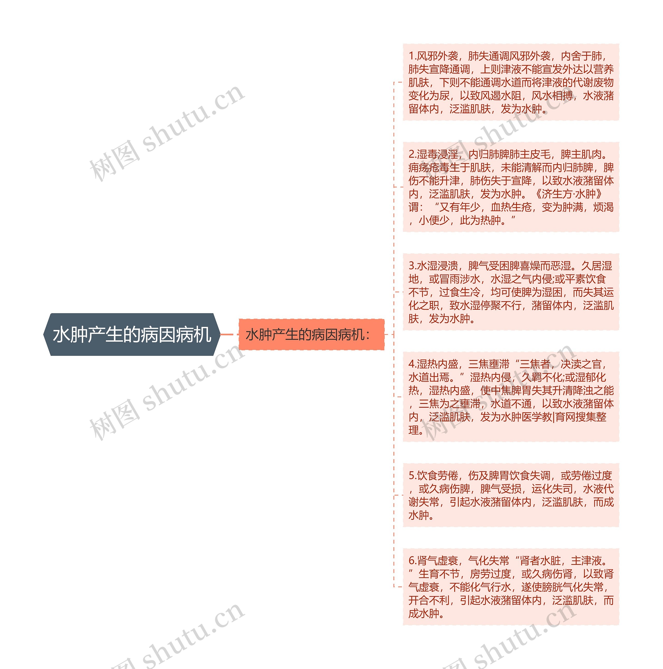 水肿产生的病因病机