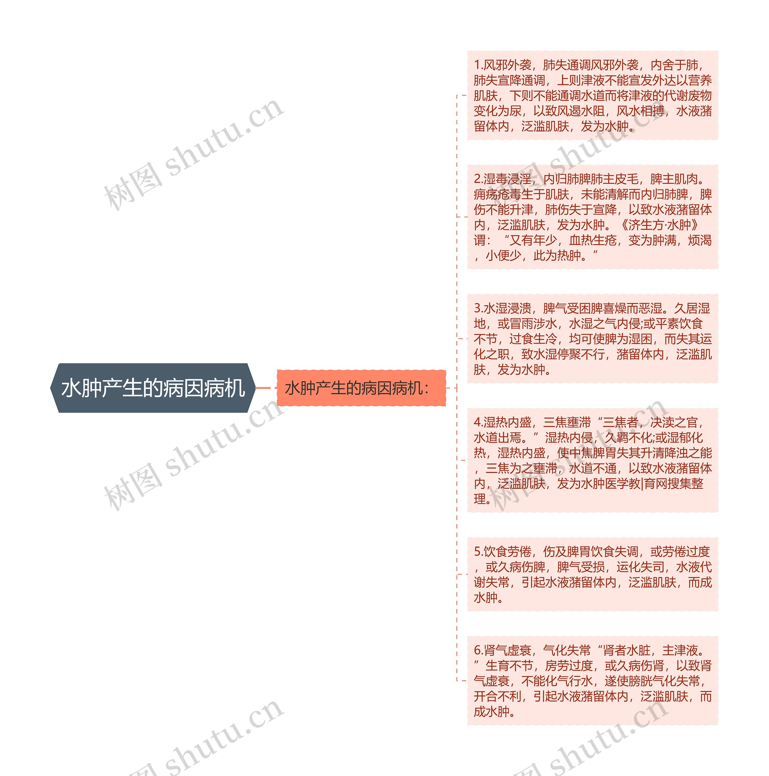 水肿产生的病因病机思维导图